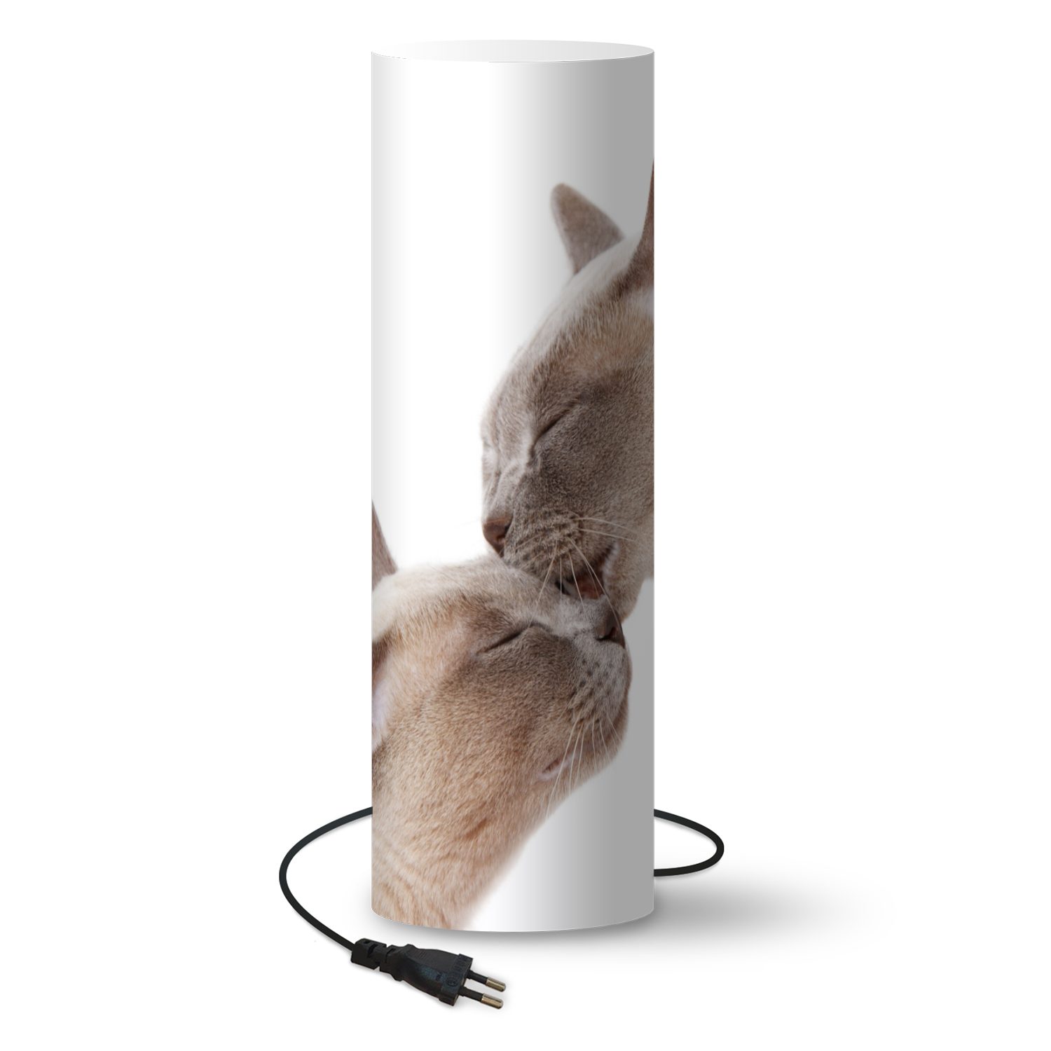 MuchoWow Stehlampe Zwei süße burmesische Katzen kuscheln, LED wechselbar,  Lampen Stehlampen Stehleuchte, Inklusive LED-Lampe