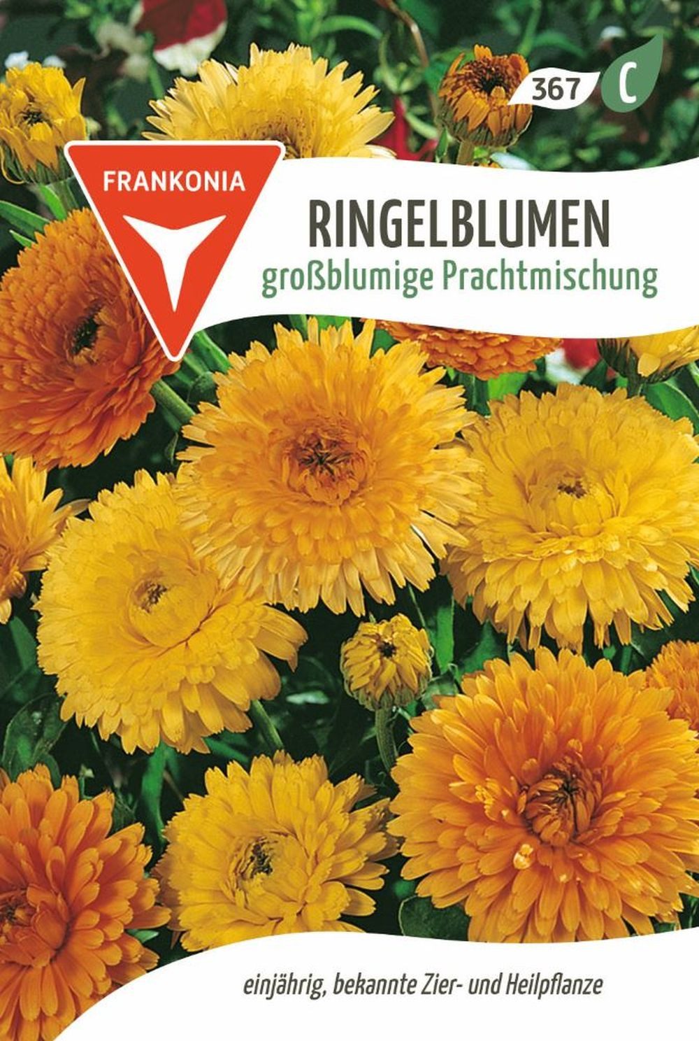 FRANKONIA Blumensamen Ringelblume, großblumige Prachtmischung - Ringelblume günstig online kaufen