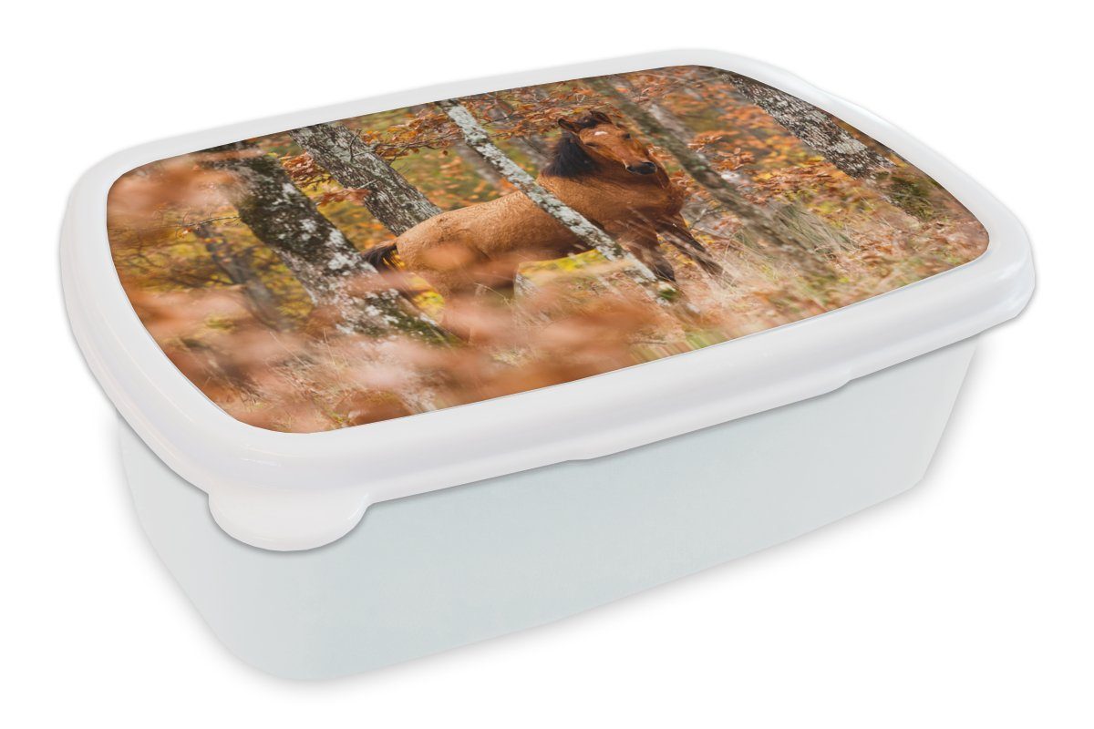 MuchoWow Lunchbox Pferd - Wald - Braun, Kunststoff, (2-tlg), Brotbox für Kinder und Erwachsene, Brotdose, für Jungs und Mädchen weiß
