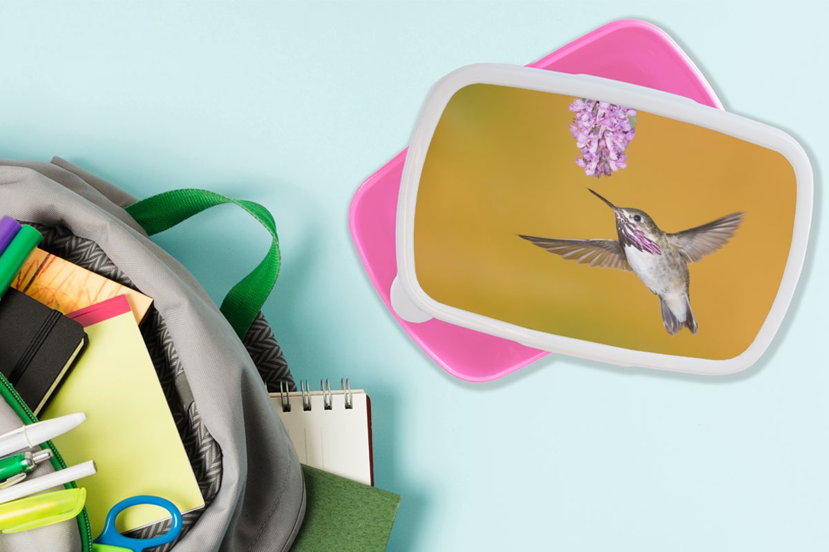 Kunststoff für - Brotdose Gelb, Kunststoff, Kinder, Erwachsene, - Blume Kolibri Snackbox, Lunchbox rosa MuchoWow Mädchen, Brotbox (2-tlg),