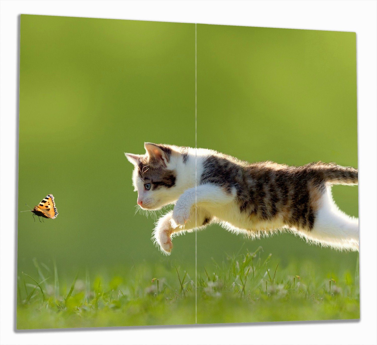 Grünen, im 5mm verschiedene ESG-Sicherheitsglas, Schmetterling Katze fängt Größen (Glasplatte, Wallario Noppen), Süße tlg., 2 inkl. Herd-Abdeckplatte