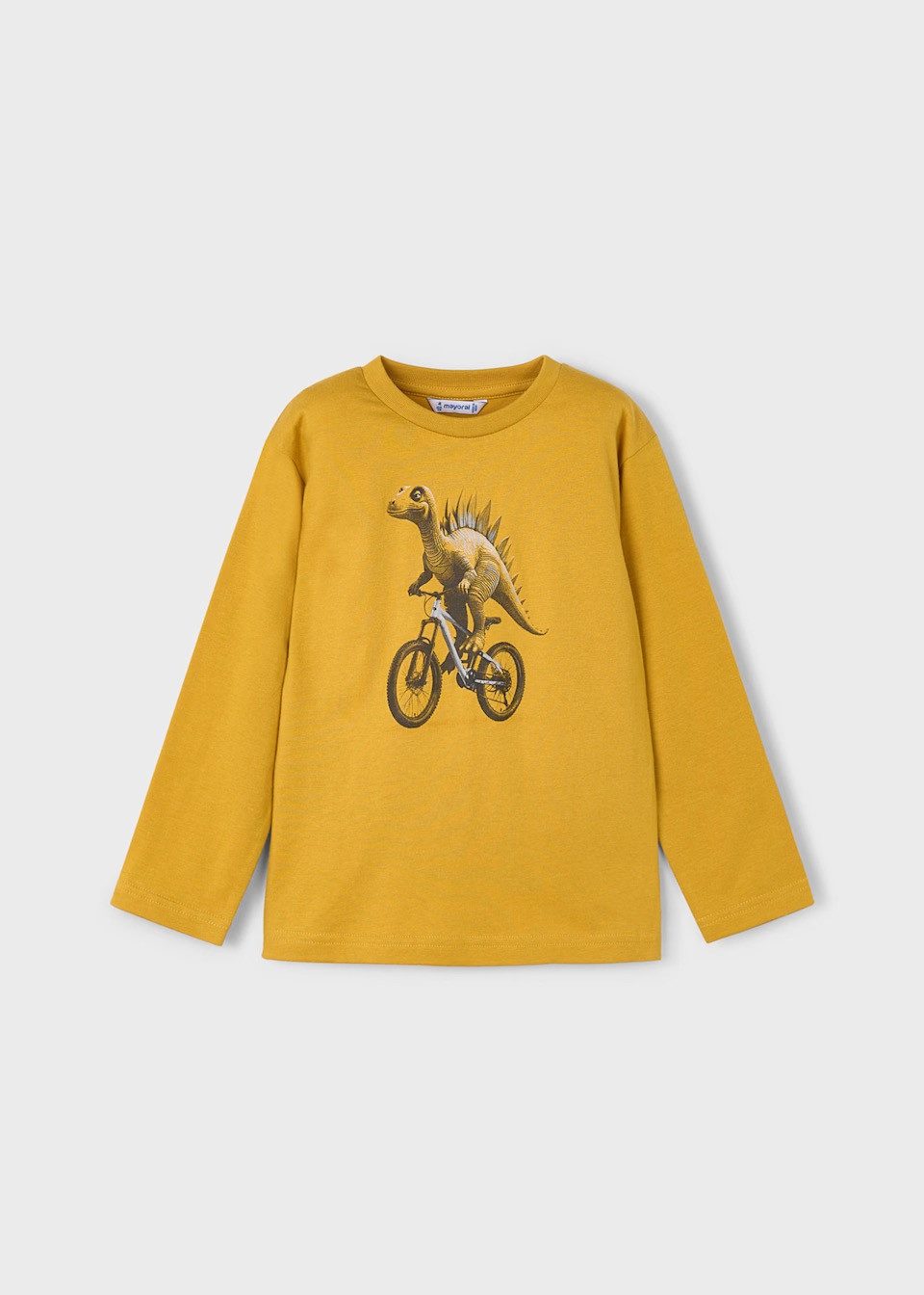 Langarmshirt Jungen Langarmshirt mit Dinosaurier-Print