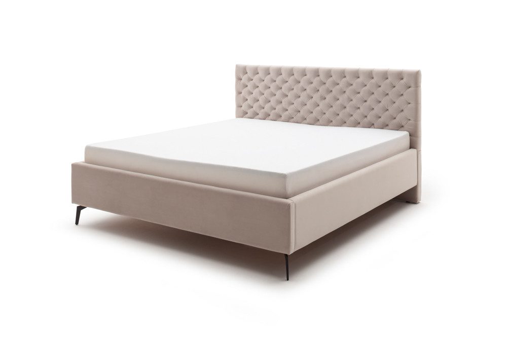 meise.möbel Polsterbett