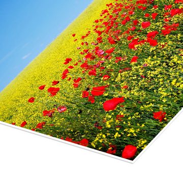 Posterlounge Poster Editors Choice, Sonnige Landschaft mit Feldblumen, Fotografie