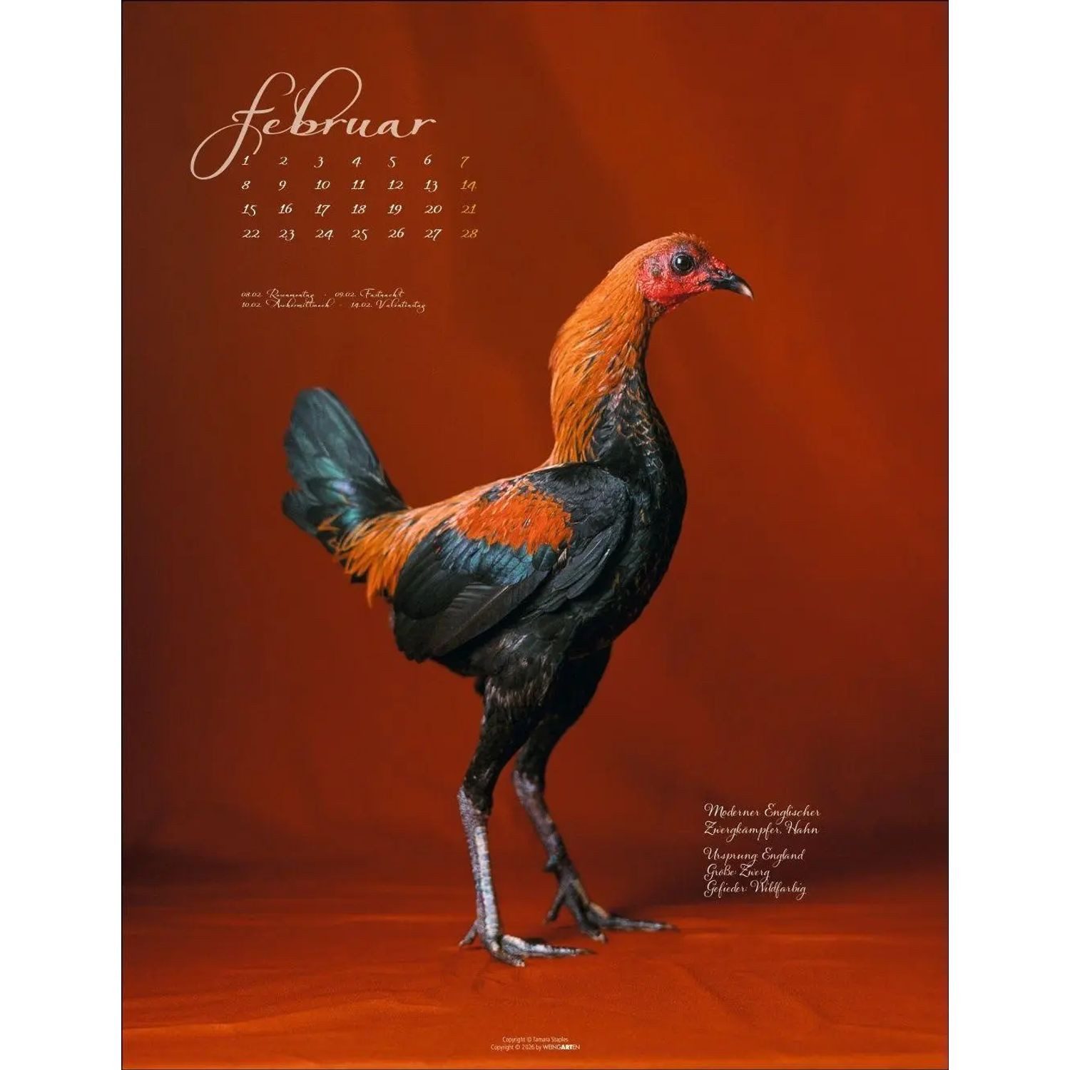 Wandkalender Pretty Chicks Kalender 2027