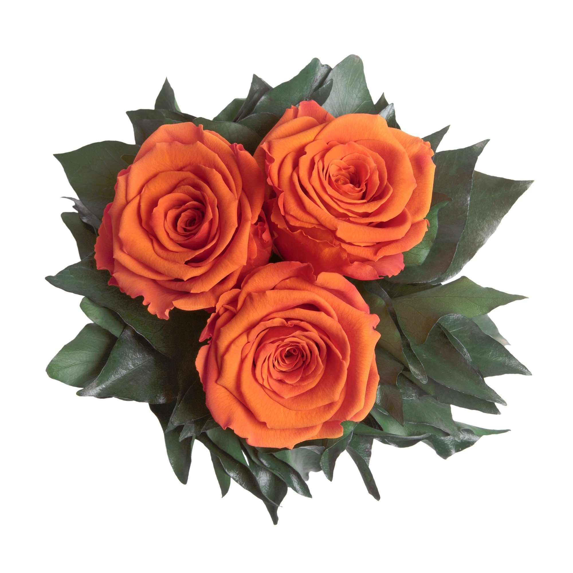 Kunstorchidee 3 Infinity Rose Rose, 15 Orange Jahre Blumenstrauß Rosen Heidelberg, SCHULZ haltbar silberfarbene Deko ROSEMARIE Höhe bis Vase cm, zu 3 Wohnzimmer