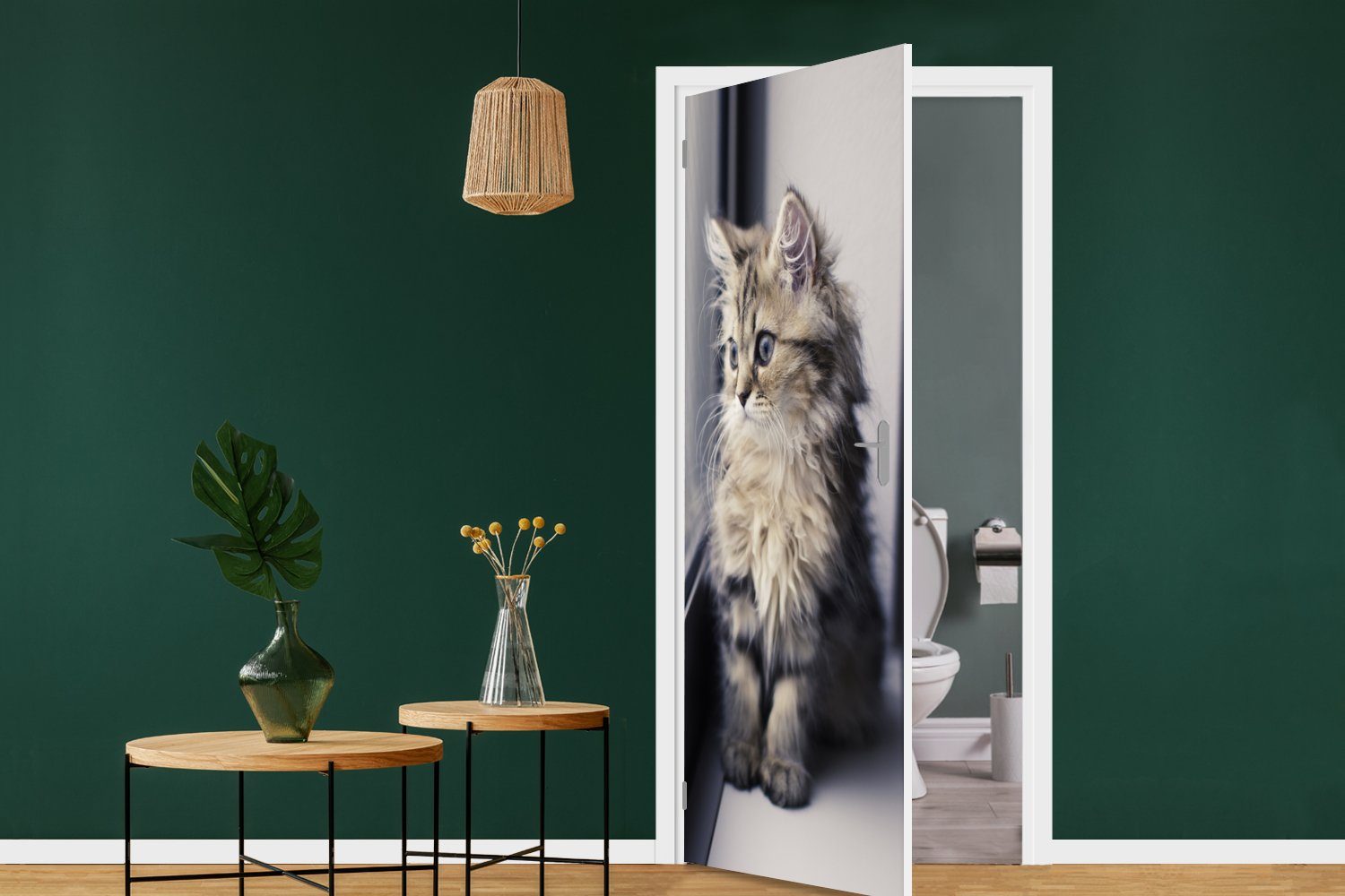 MuchoWow Türtapete Ein persisches Kätzchen 75x205 aus Tür, für dem bedruckt, Fototapete (1 cm Matt, Türaufkleber, St), Fenster, schaut