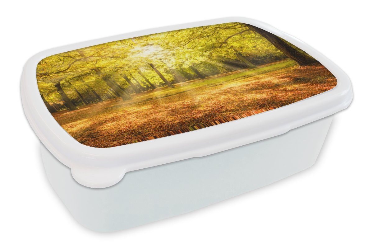 MuchoWow Lunchbox Baum - Natur - Sonne - Landschaft - Wald, Kunststoff, (2-tlg), Brotbox für Kinder und Erwachsene, Brotdose, für Jungs und Mädchen weiß
