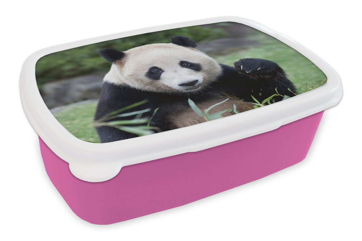 MuchoWow Lunchbox Großer Panda - Gras - Steine, Kunststoff, (2-tlg), Brotbox für Erwachsene, Brotdose Kinder, Snackbox, Mädchen, Kunststoff rosa