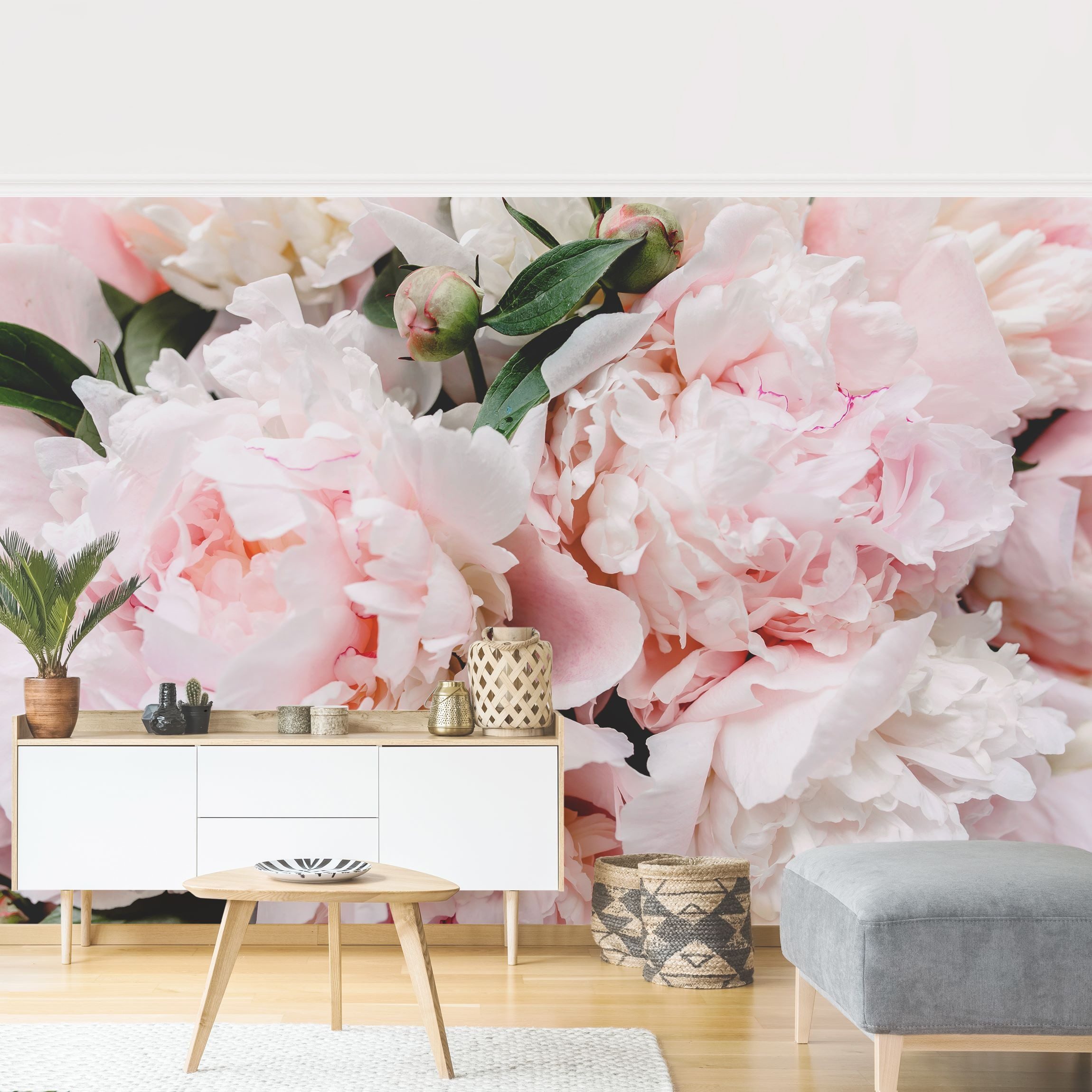 Bilderdepot24 Fototapete Rosen Pfingstrosen Hellrosa Blumen Natur Pflanzen Wanddeko, Glatt, Matt, (Vliestapete inkl. Kleister oder selbstklebend), Wohnzimmer Schlafzimmer Küche Flur Motivtapete Vliestapete Wandtapete