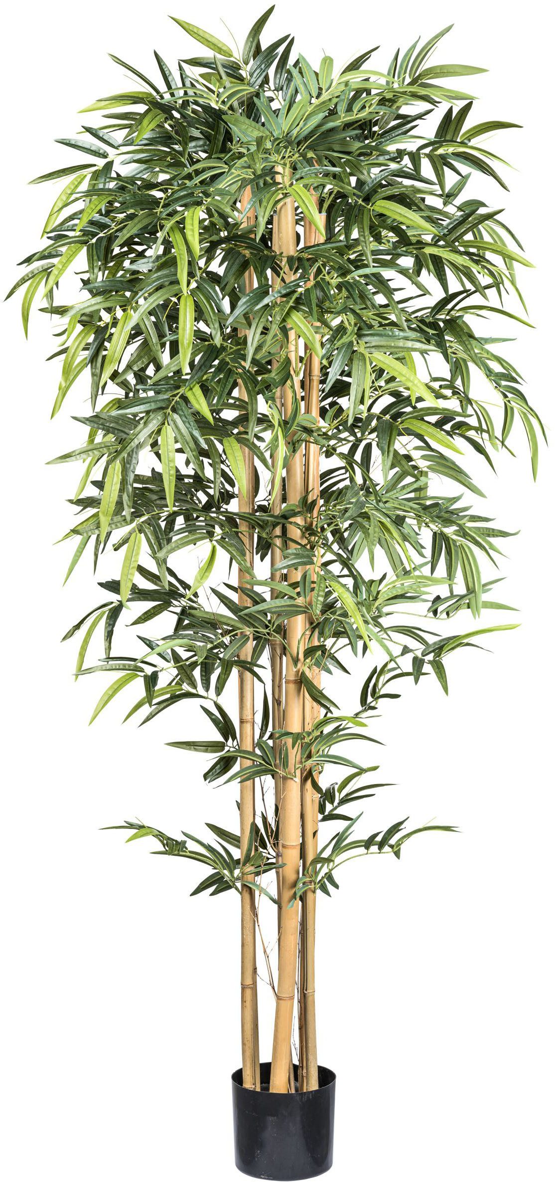 Kunstbaum Bambus Bambus, Creativ green, Höhe 210 cm, mit echten Bambusstäben