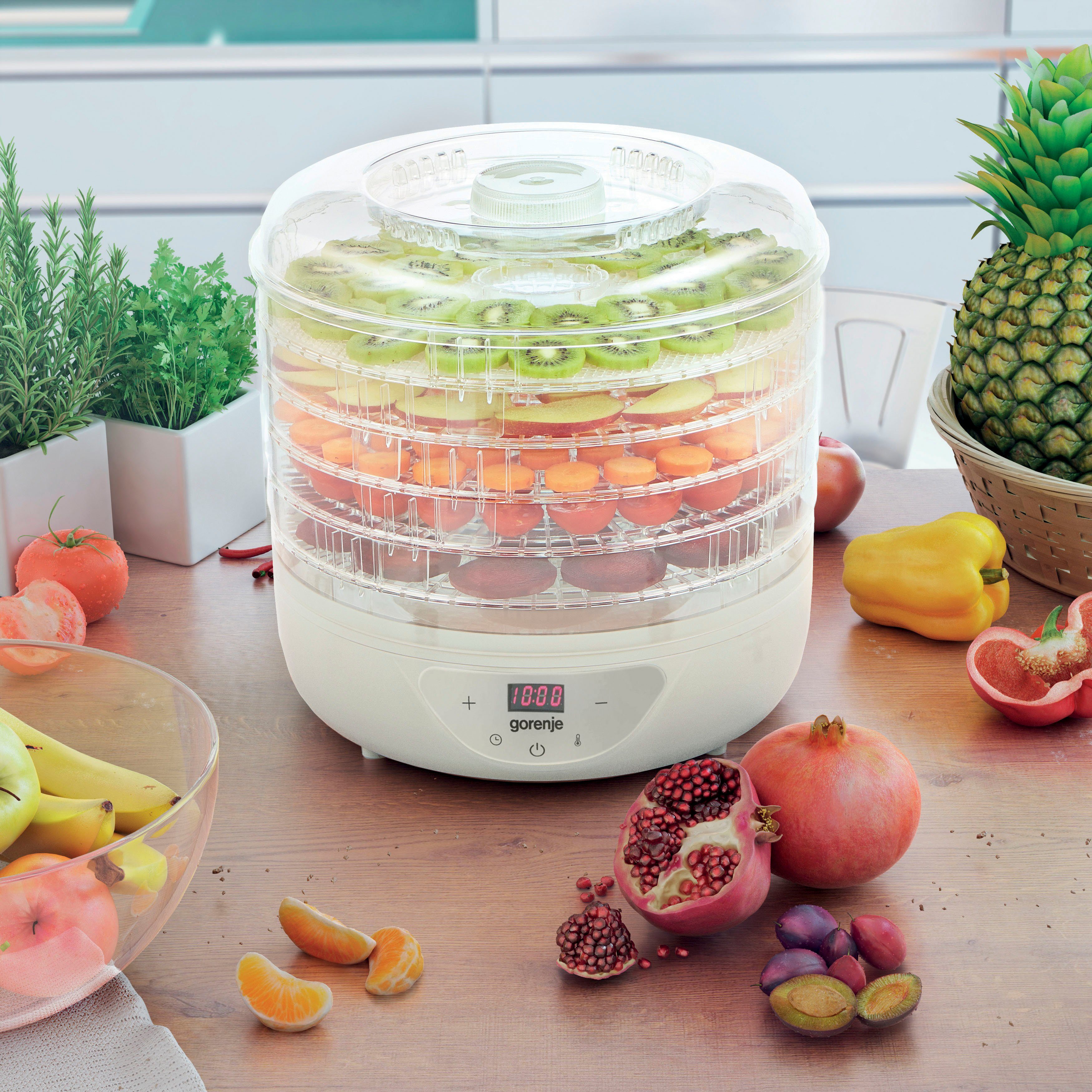 GORENJE Dörrautomat FDK24DW 380 W, 1 Etagen, 5 Trocknungsflächen