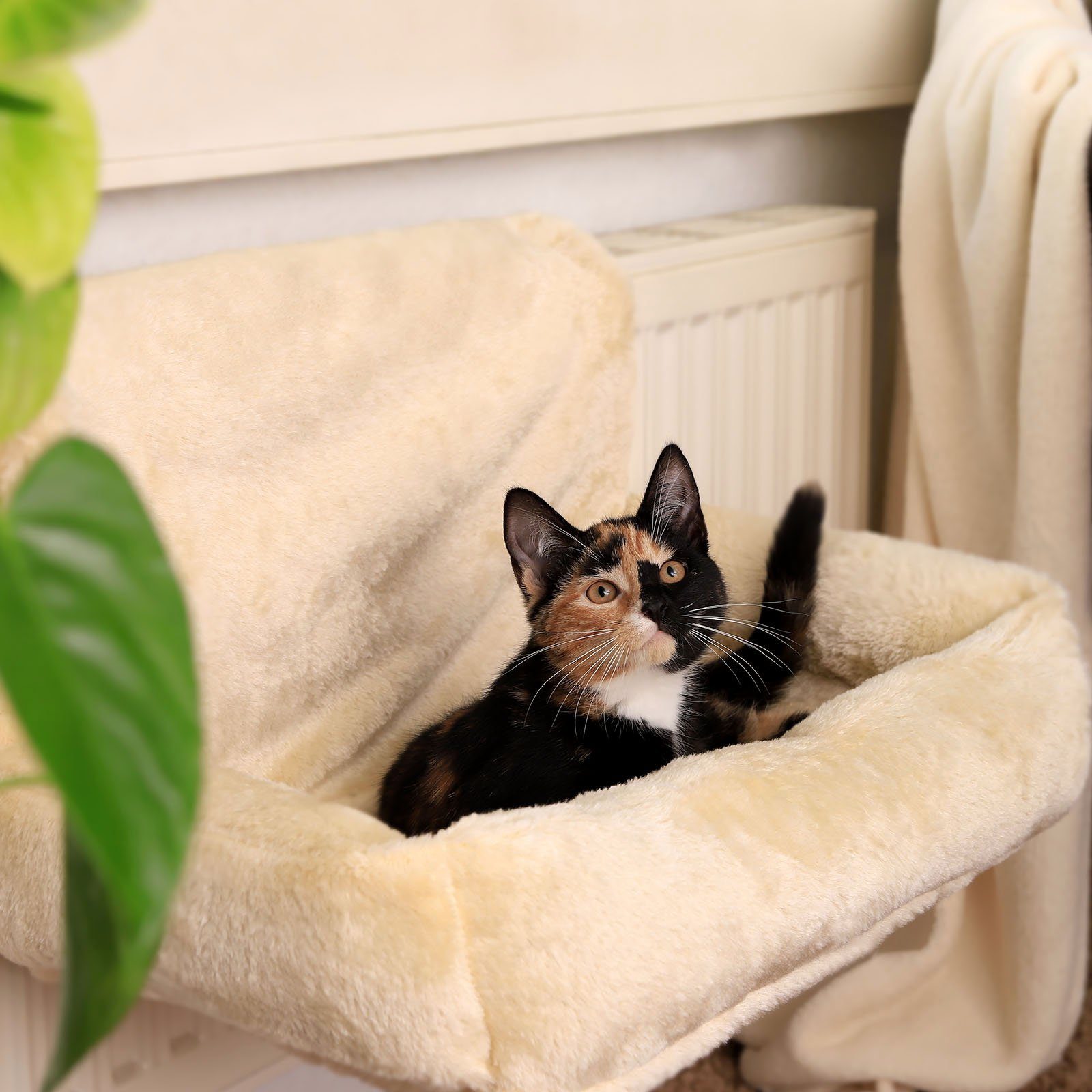 lionto Futternapf Katzenbett für Heizungen, Katzenheizungsliege, günstig online kaufen