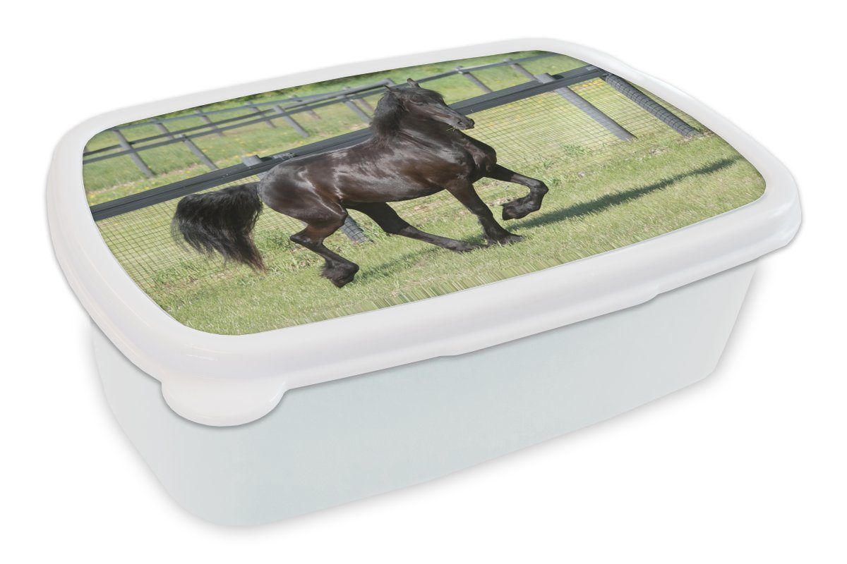 Jungs Kinder Friesisches Lunchbox weiß Brotdose, im Kunststoff, (2-tlg), Pferd Galopp, und und MuchoWow Brotbox Mädchen für für Erwachsene,