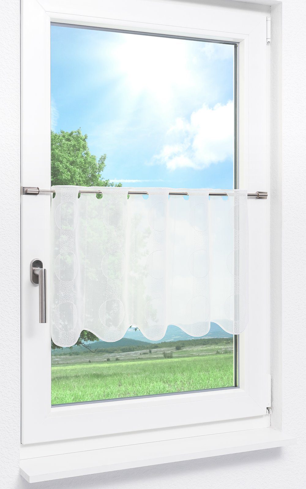 Plauener Spitze® Scheibengardine Zyla (1 St), transparent, HxB 40x48cm günstig online kaufen