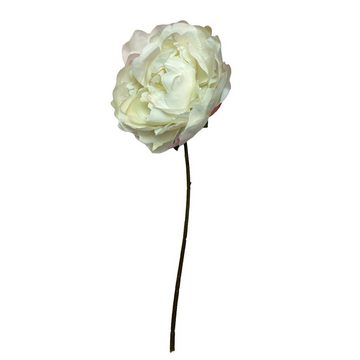 Kunstblume Künstlicher Zweig Pfingstrose Blume Weiß 40cm, Florissima