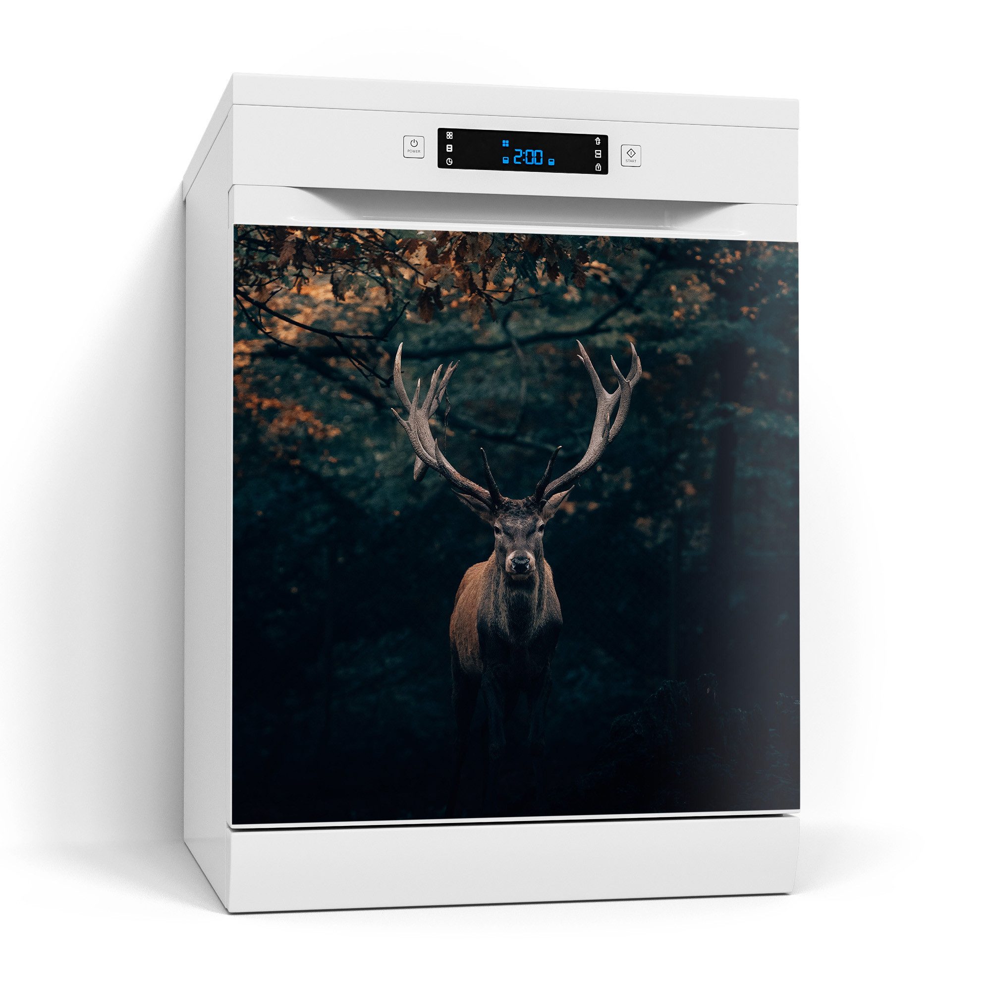 DEQORI Magnetfolie 'Elch im Teutoburger Wald', Spülmaschine Magnetmatte magnetisch Magnetfolie Folie Schutz