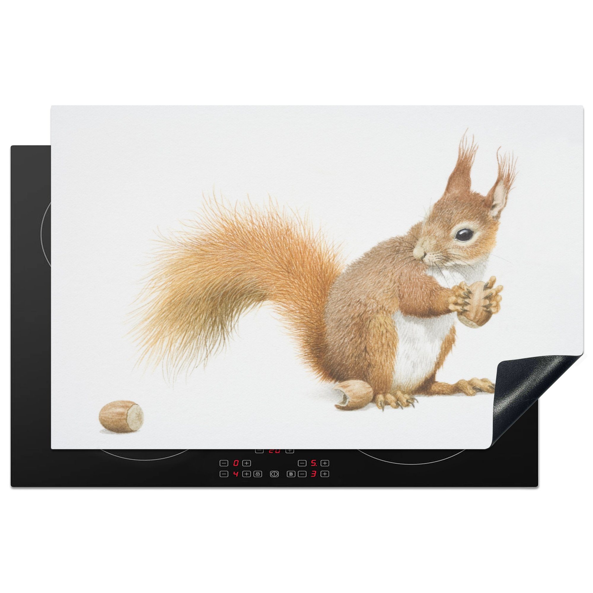MuchoWow Herdblende-/Abdeckplatte Illustration eines Eichhörnchens mit Eicheln auf einem weißen, Vinyl, (1 tlg), 81x52 cm, Induktionskochfeld Schutz für die küche, Ceranfeldabdeckung