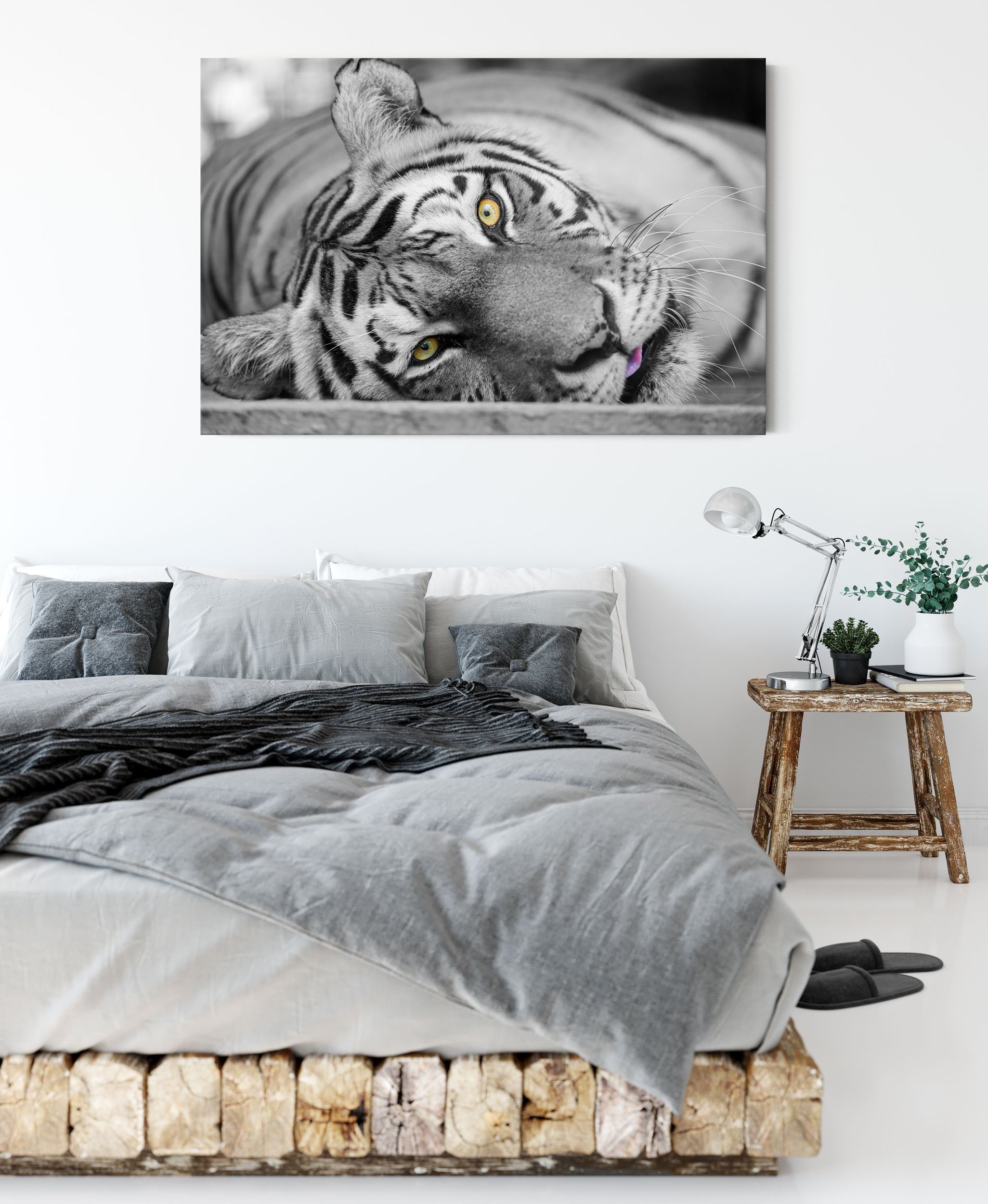 inkl. Leinwandbild fertig Tiger, ruhender Leinwandbild Pixxprint Zackenaufhänger ruhender (1 St), bespannt, Tiger