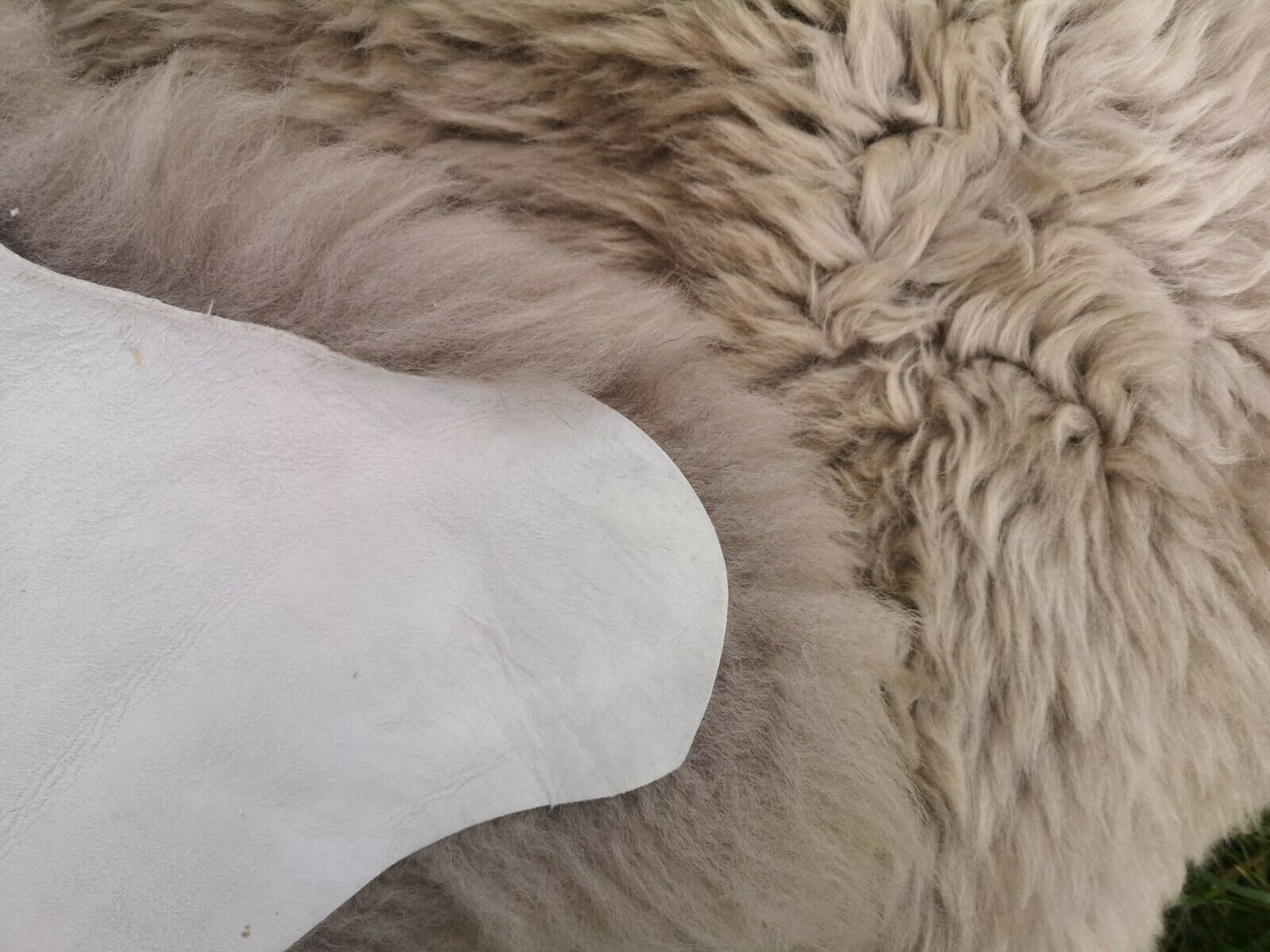 Provellus Fellteppich Lammfell Schaffell Taupe Öko Fell Dicht Weich L-XXL Unikat, 100-110 cm x 50-60 cm – Bild 5 von 5