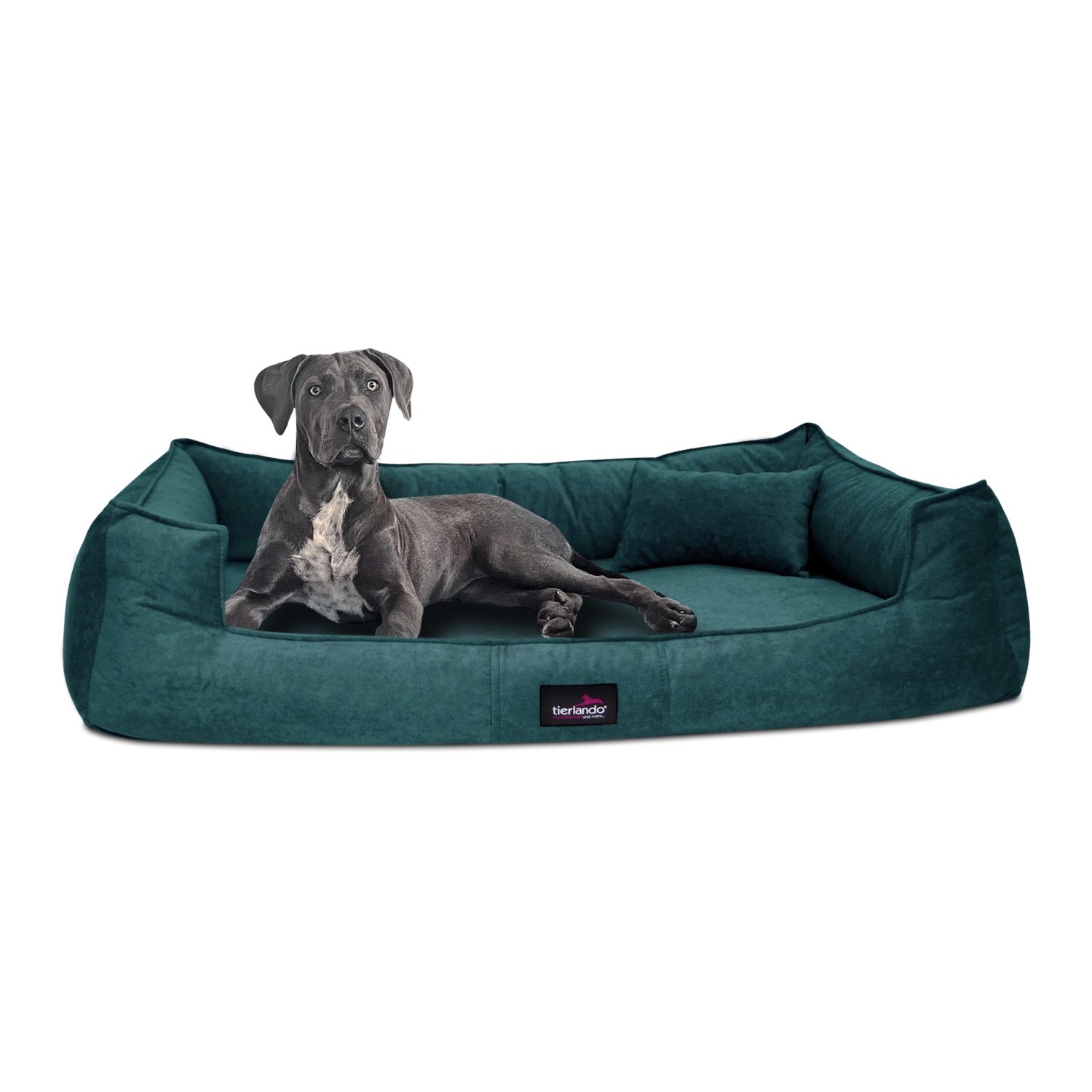 tierlando® Tierbett Orthopädisches Hundebett BRUCE VELOURS günstig online kaufen
