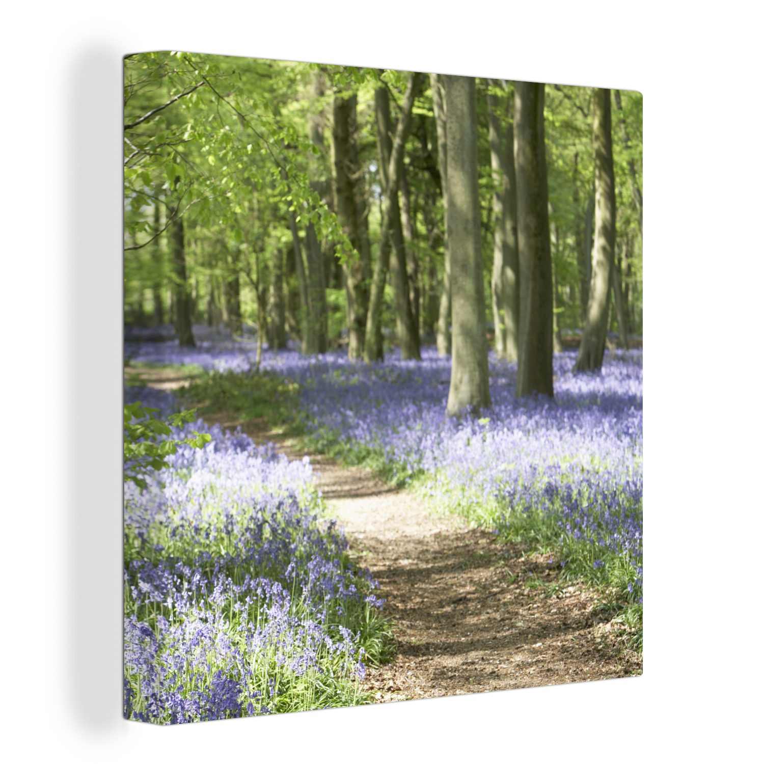 OneMillionCanvasses® Leinwandbild Wald - Weg - Blumen - Lila - Grün -  Natur, (1 St), Leinwand Bilder für Wohnzimmer Schlafzimmer