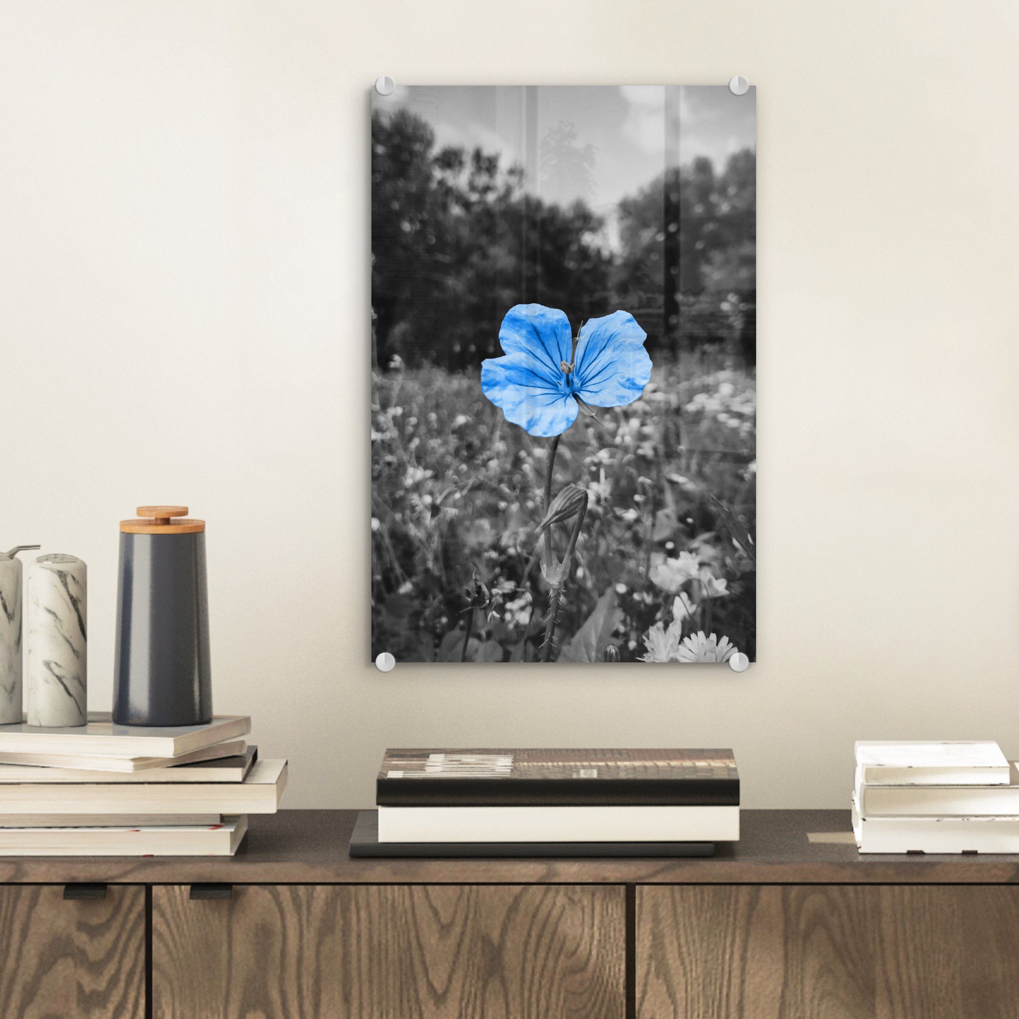 Blau, auf St), Wandbild - - Glasbilder - auf Acrylglasbild - Foto Wanddekoration (1 Bilder Schwarz Glas Blumen Weiß - - MuchoWow bunt Glas