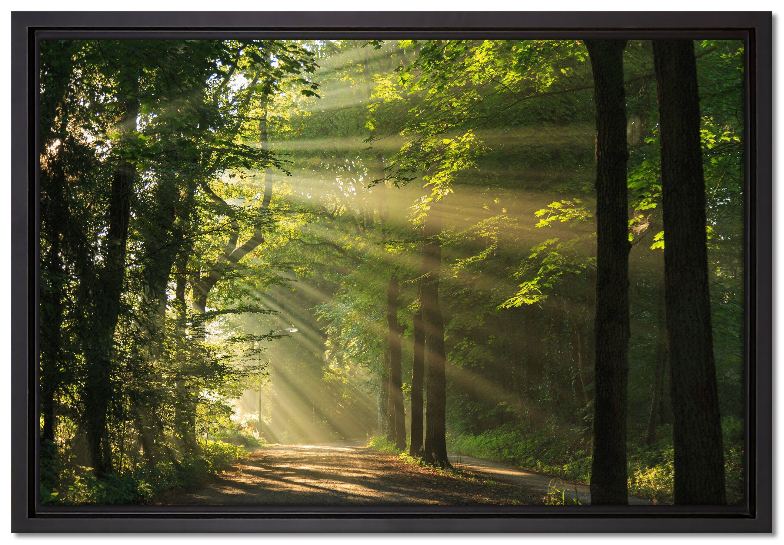 Pixxprint Leinwandbild Waldweg im Frühling, Wanddekoration (1 St), Leinwandbild fertig bespannt, in einem Schattenfugen-Bilderrahmen gefasst, inkl. Zackenaufhänger