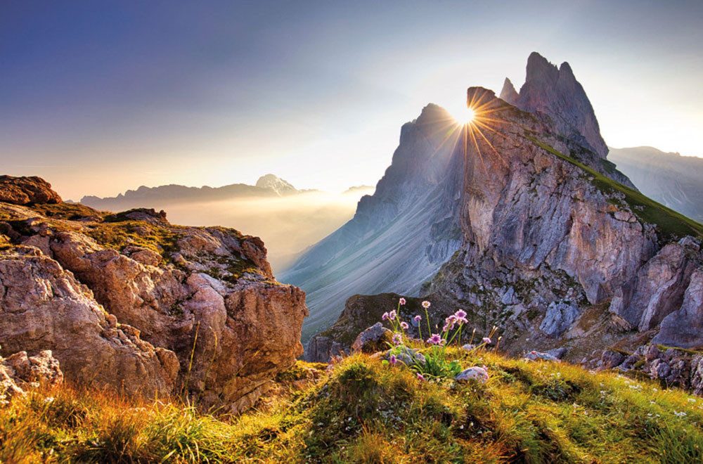 Bönninghoff Leinwandbild, Berge, Berge & Alpenbilder, Bilder vom Sonnenuntergang & -aufgang, Blumen, Blumenbilder, Landschaft, Landschaften, Natur, Pflanzen, Pflanzenbilder, Sonnenaufgang, Sonnenaufgang & -untergang, Wiesen & Baumbilder, Wiesen & Bäume (1 St)
