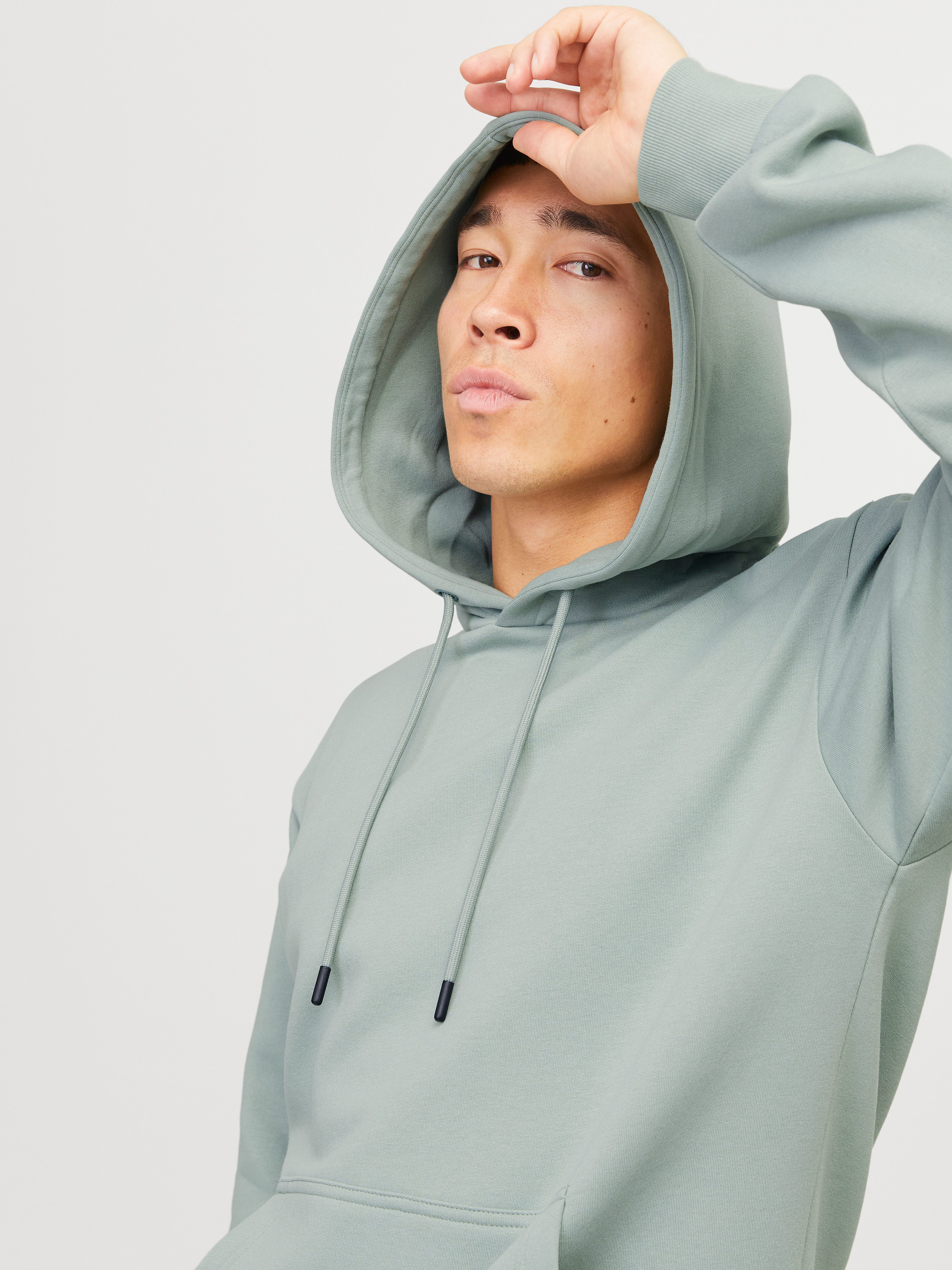 Jack & Jones Kapuzensweatshirt JJEBRADLEY SWEAT günstig online kaufen