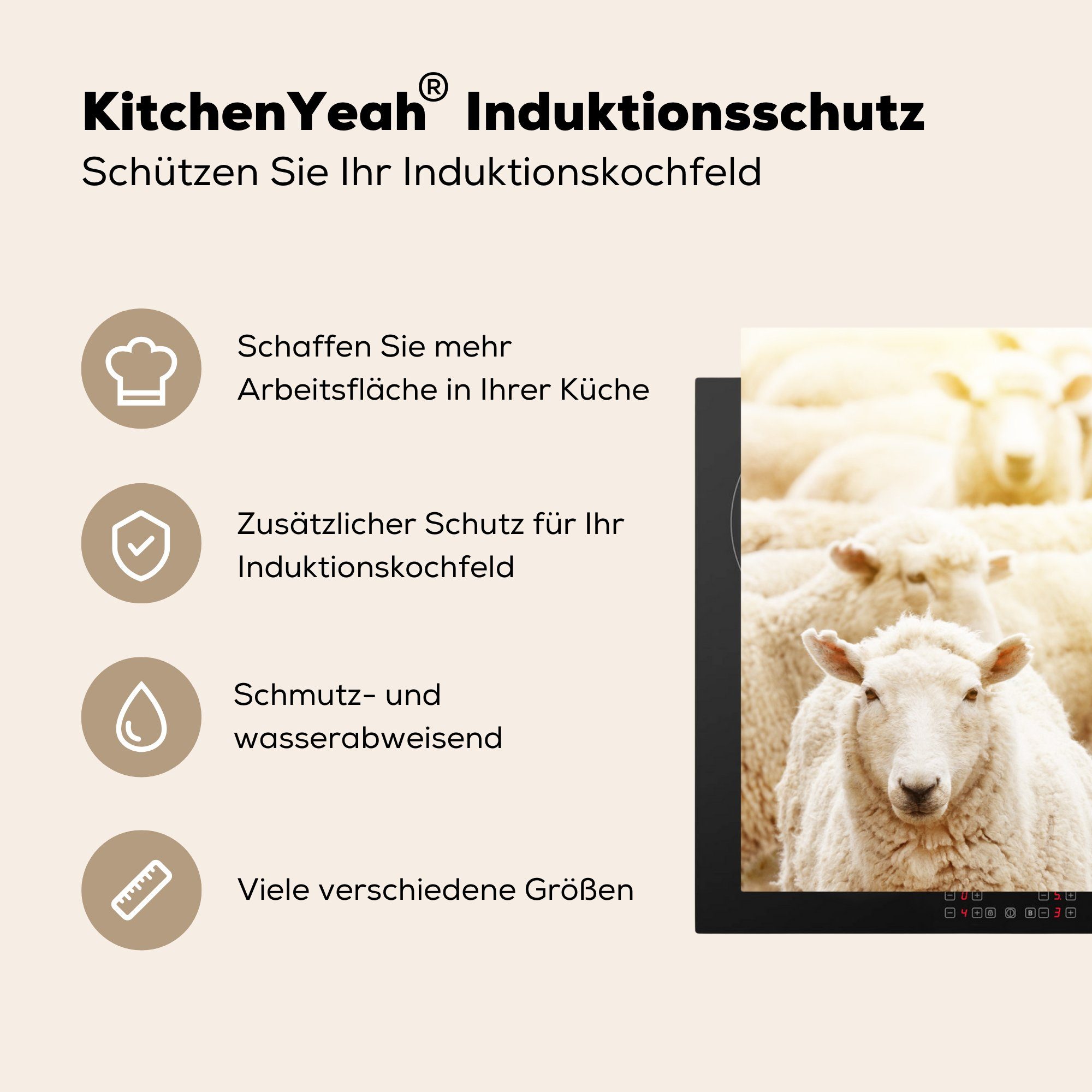 Induktionskochfeld Herdblende-/Abdeckplatte Schutz Ceranfeldabdeckung Wolle MuchoWow 81x52 Schafe tlg), - für (1 Weiß, - küche, Vinyl, cm, die