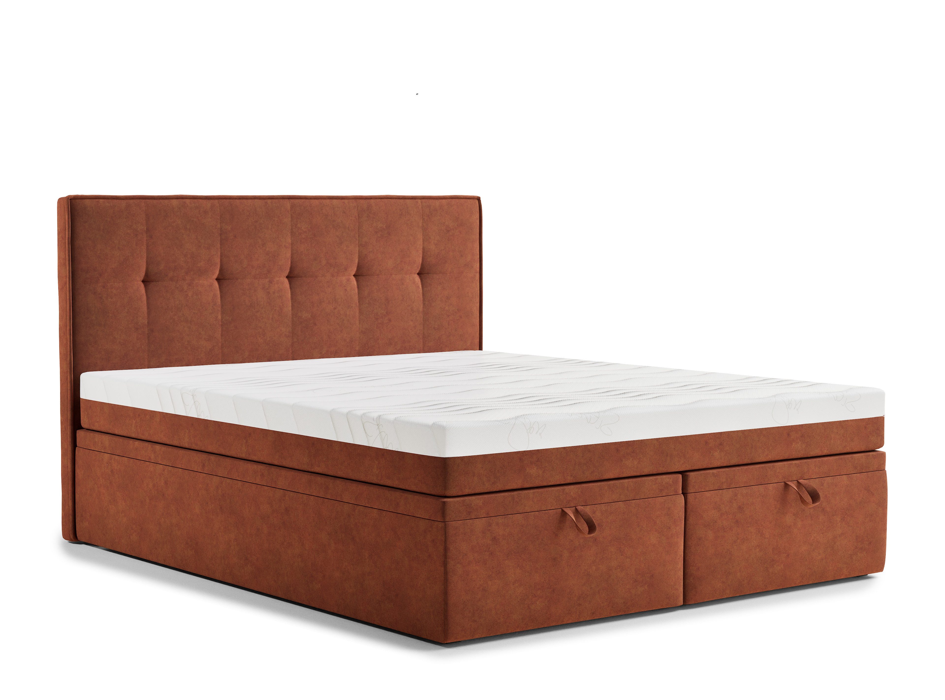 Maison de Rêve Boxbett Comfrey (Boxbett mit Matratze mit Stauraum und Kopfteil), Taschenmatratze, Samtstoff