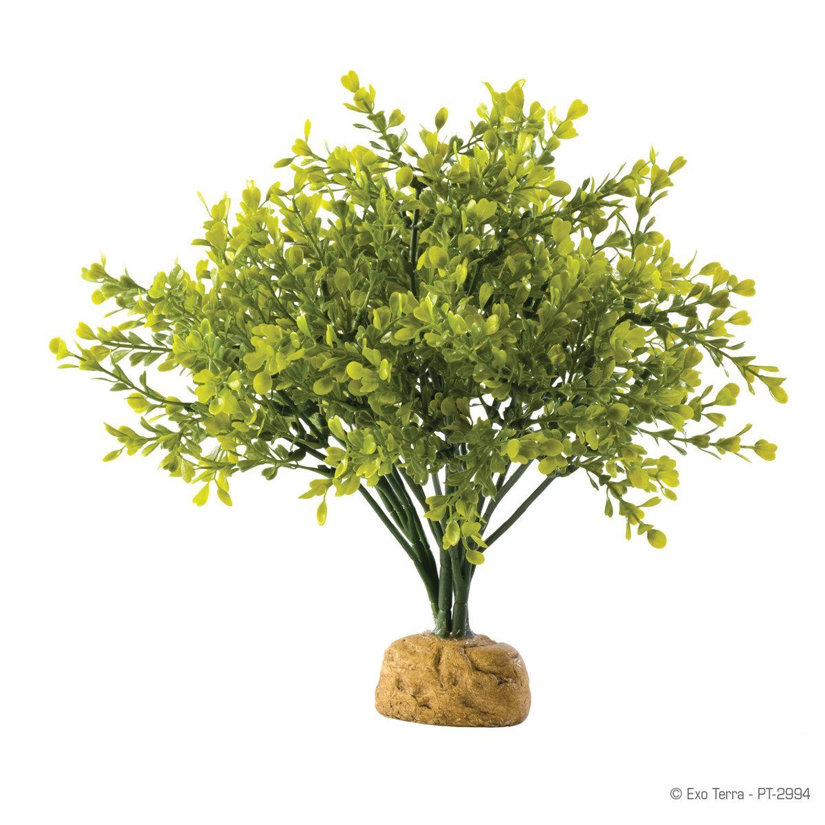 Terrariendeko Terrarien-Pflanze Buchsbaum