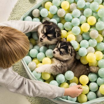 Beeztees Hundepool Puppy Ball Pool Funchie