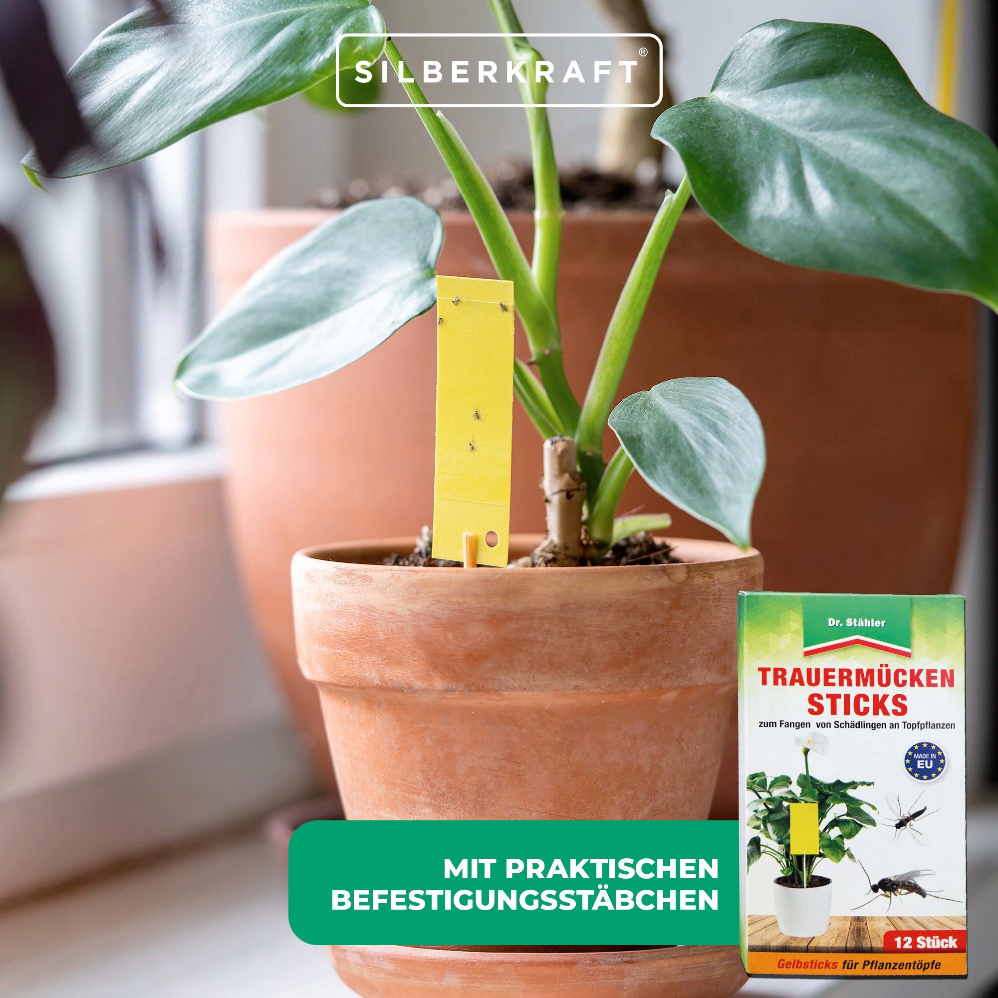 Dr. Stähler Insektenfalle Trauermücken-Sticks: Effektive Bekämpfung von Weiße Fliegen, Trauermücken-Sticks – Klebefallen für Topf- & Balkonpflanzen, giftfrei