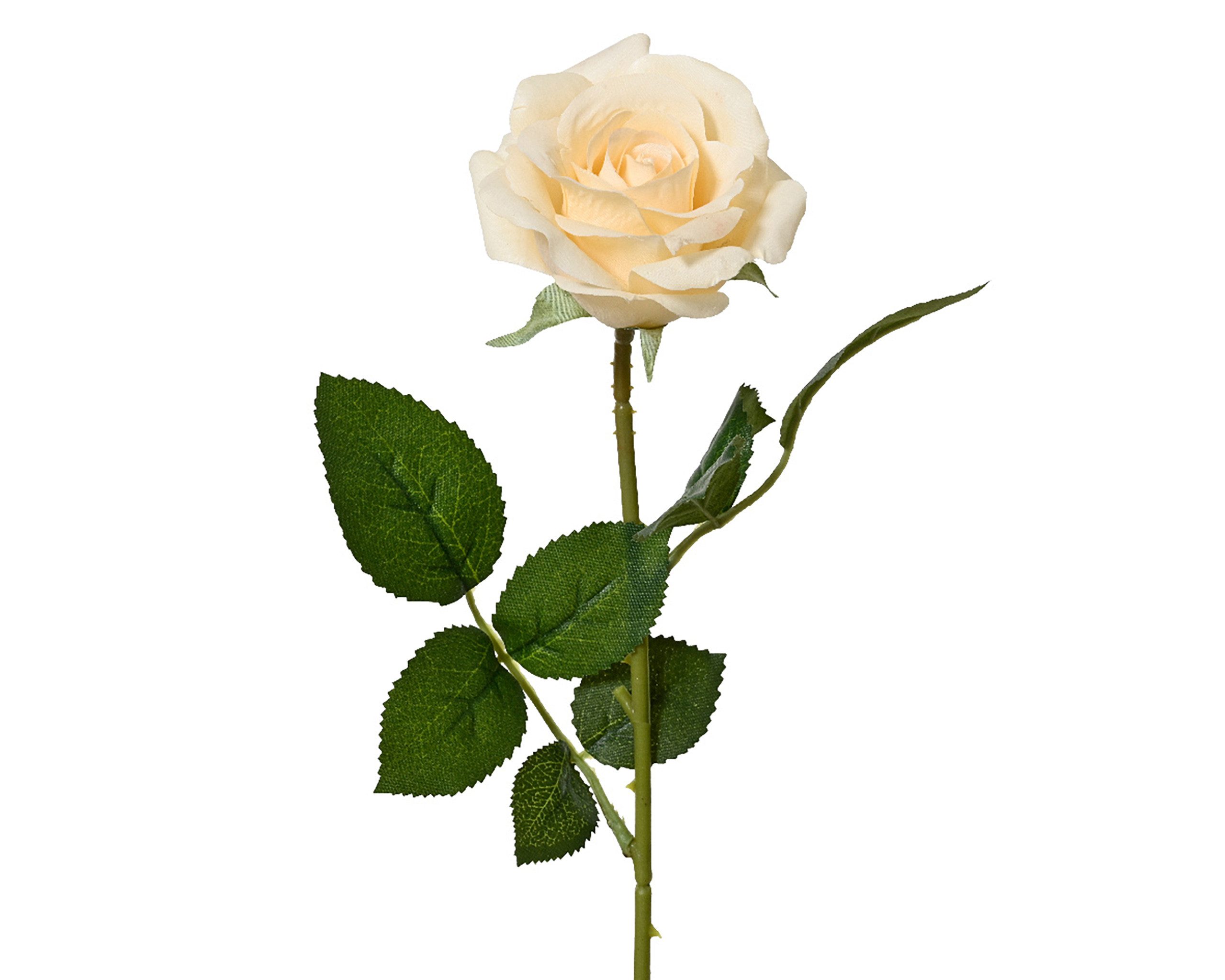 Kunstblume, Decoris season decorations, Künstliche Rose mit Stiel 8x55cm Cr günstig online kaufen