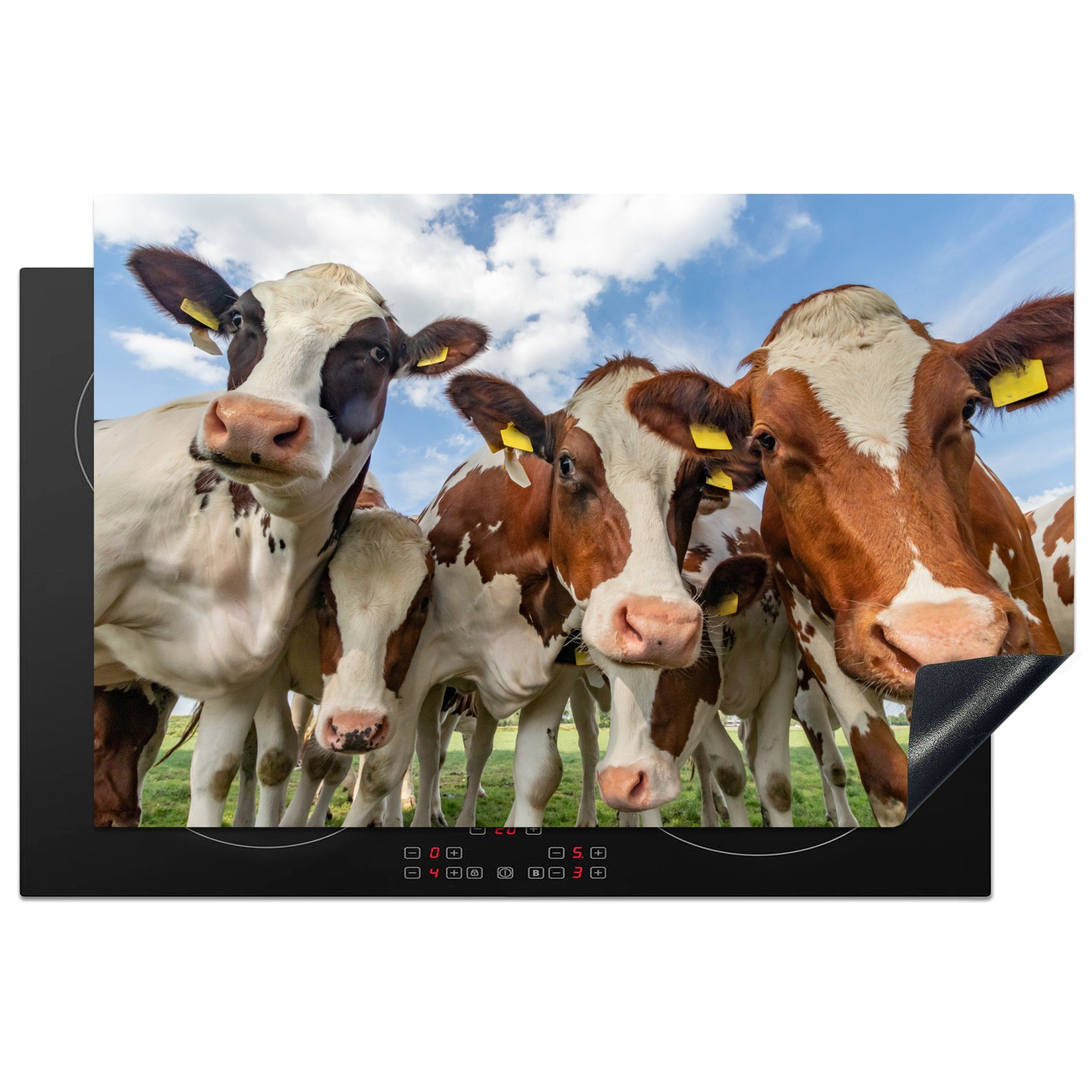 MuchoWow Herdblende-/Abdeckplatte Kühe - Tiere - Wiese - Natur, Vinyl, (1 tlg), 81x52 cm, Induktionskochfeld Schutz für die küche, Ceranfeldabdeckung