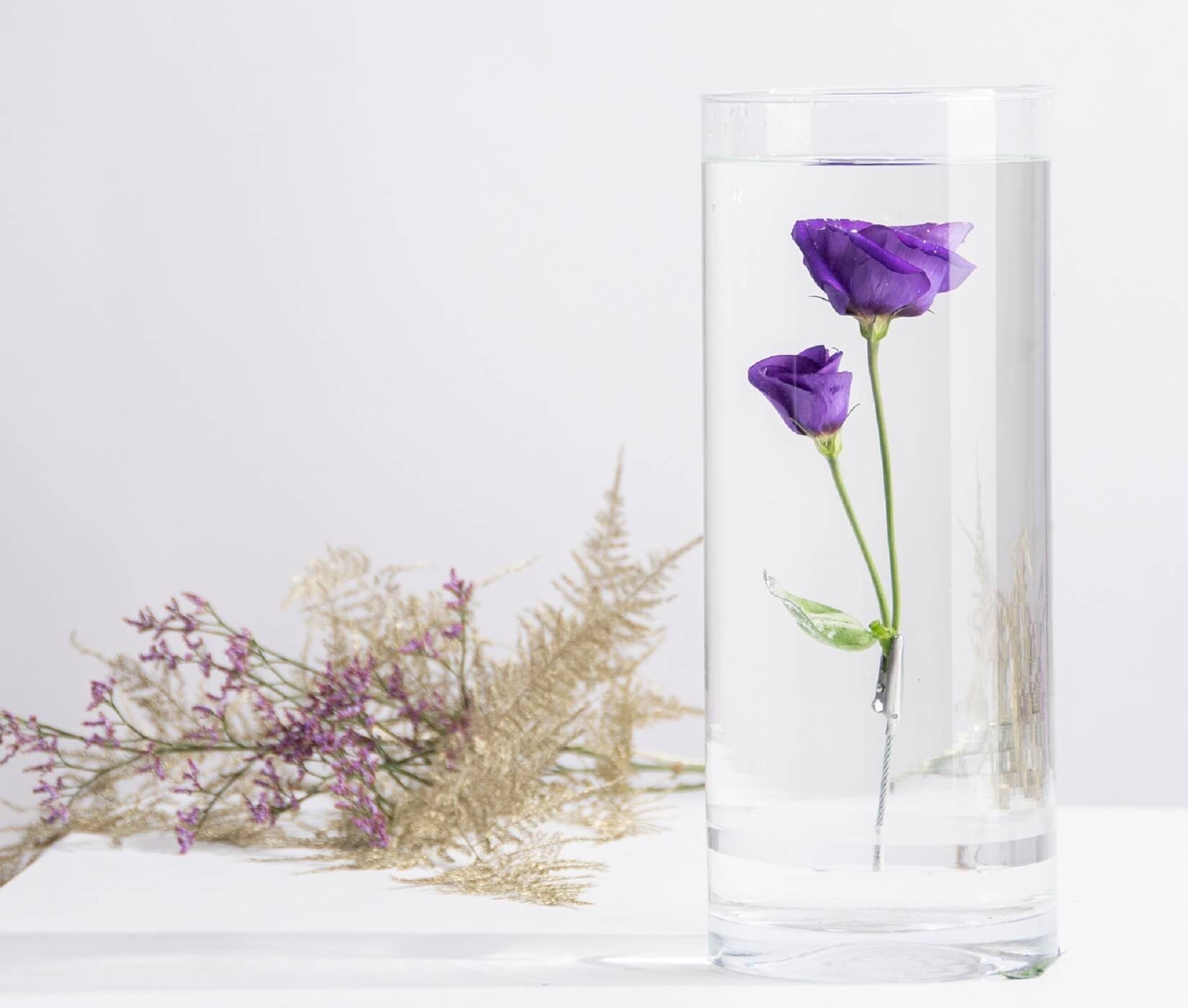 esschert design Kugelvase Versunkene mit unter Vase Pflanzen Wasser 30cm Blumen Deko Glas Vase) Clip (1 Originell