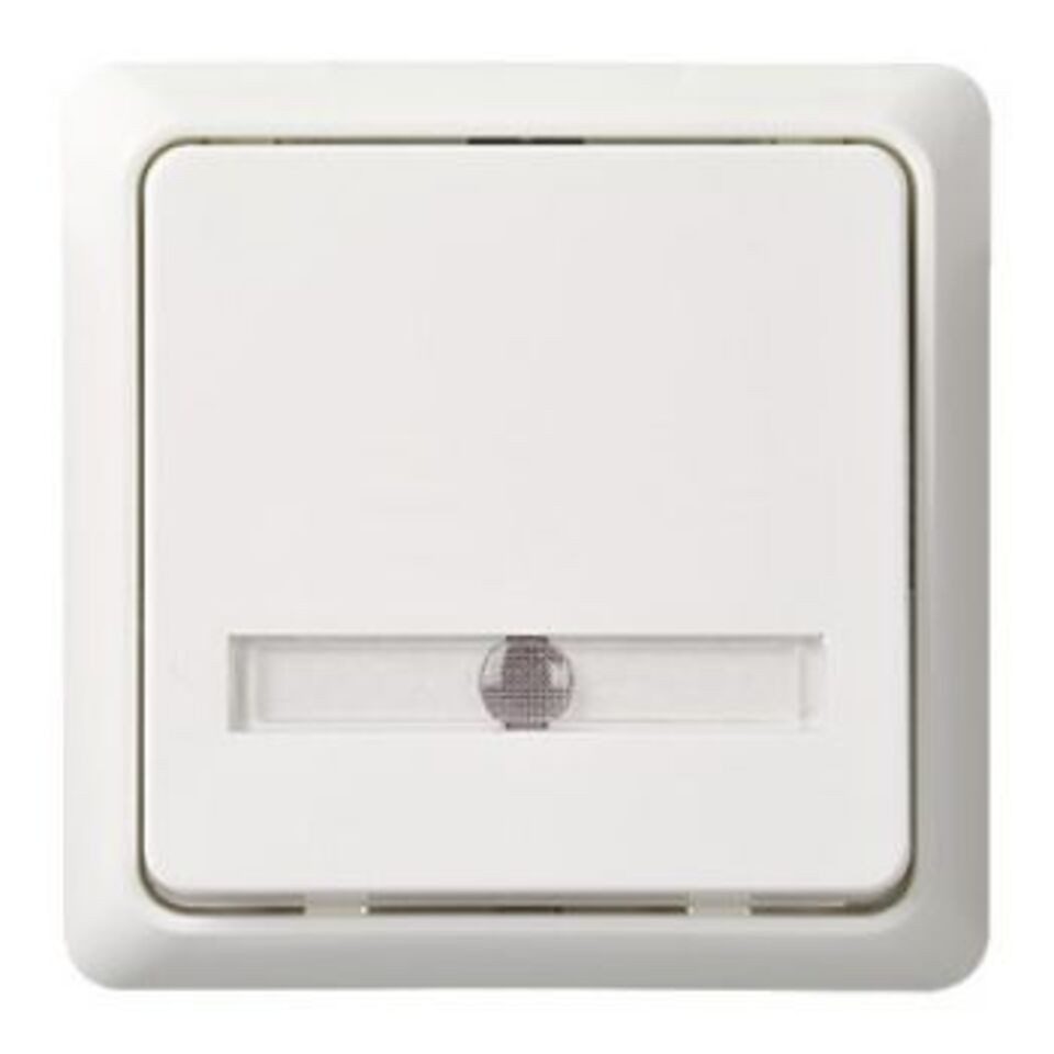 Schneider Electric Elso 506310 Taster 42V/1A Aufputz flach beleuchtet RENOVIERUNG Wandtaster