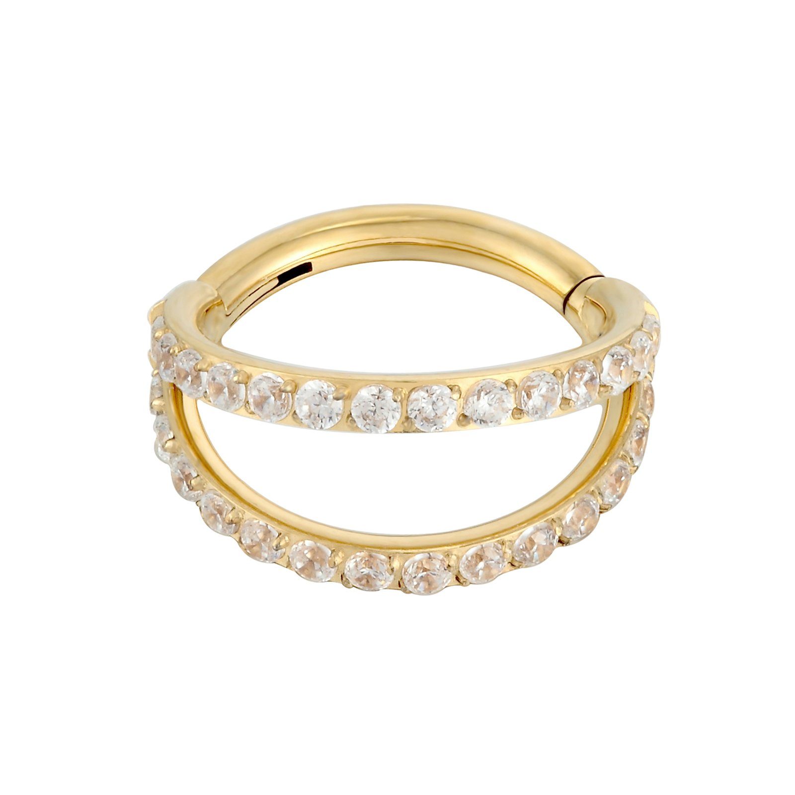 Karisma Nasenpiercing Titan G23 Hinged Segmentring günstig online kaufen