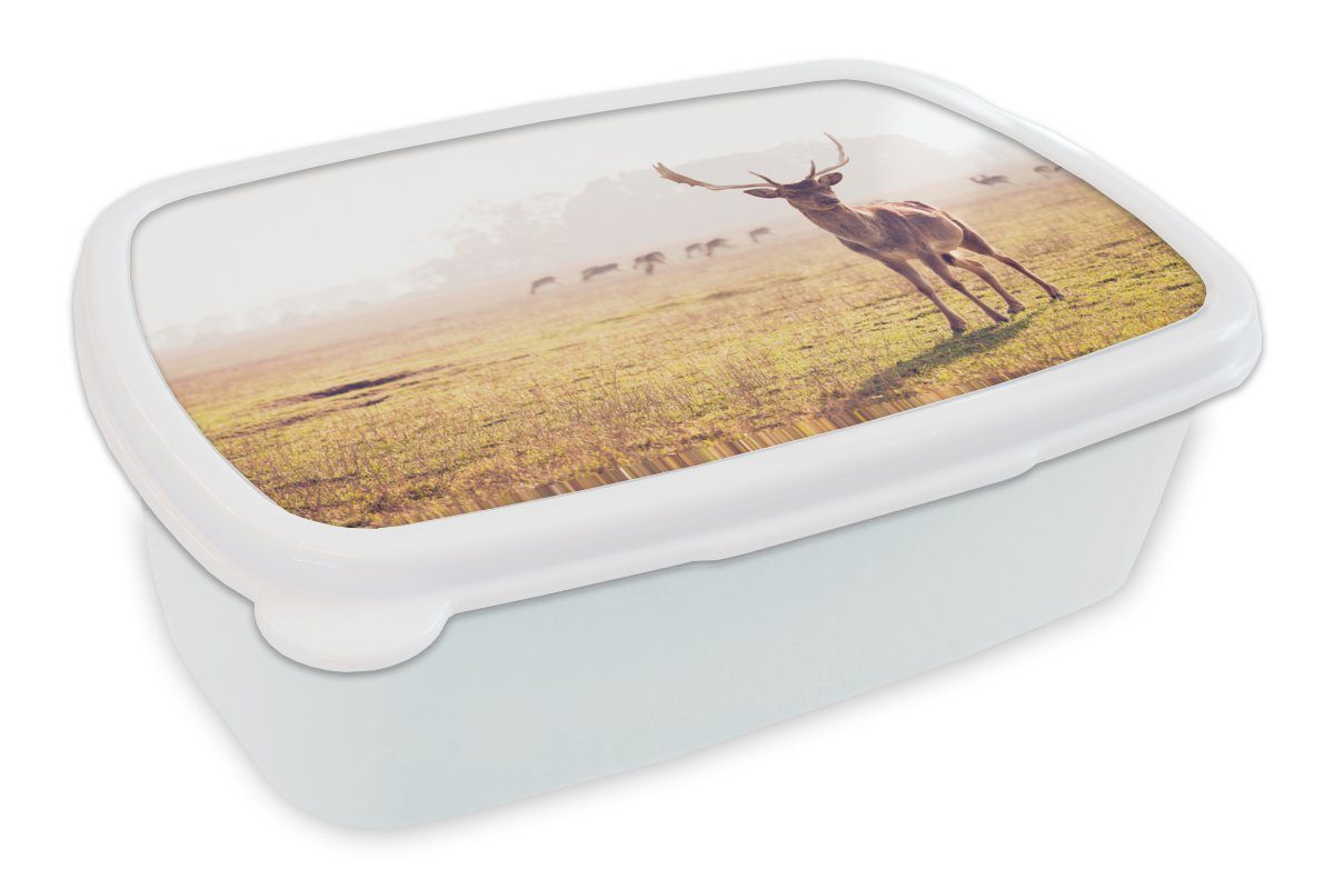 MuchoWow Lunchbox Hirsche - Geweihe Brotdose, weiß für Brotbox (2-tlg), für und Mädchen Kunststoff, Kinder - Gras, und Jungs Erwachsene