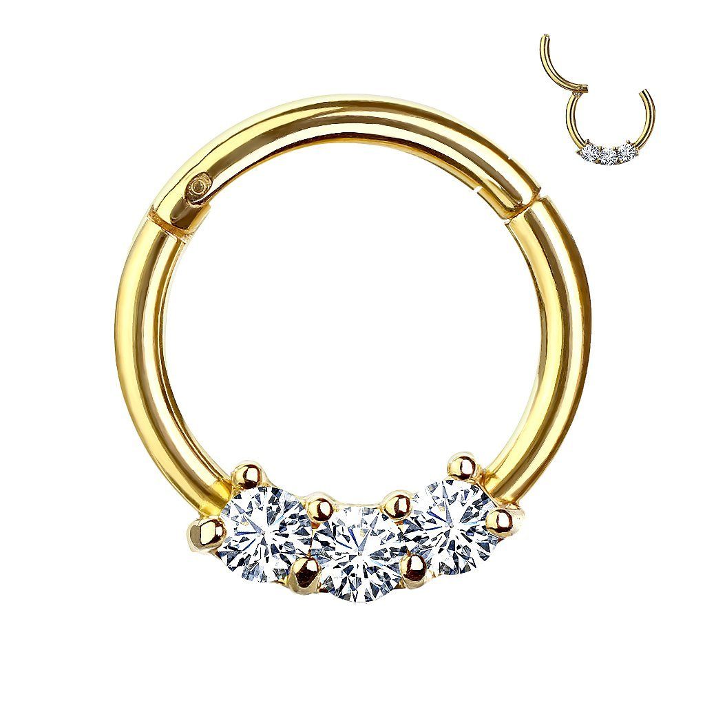 Taffstyle Nasenpiercing Piercing Segmentring Scharnier Clicker günstig online kaufen
