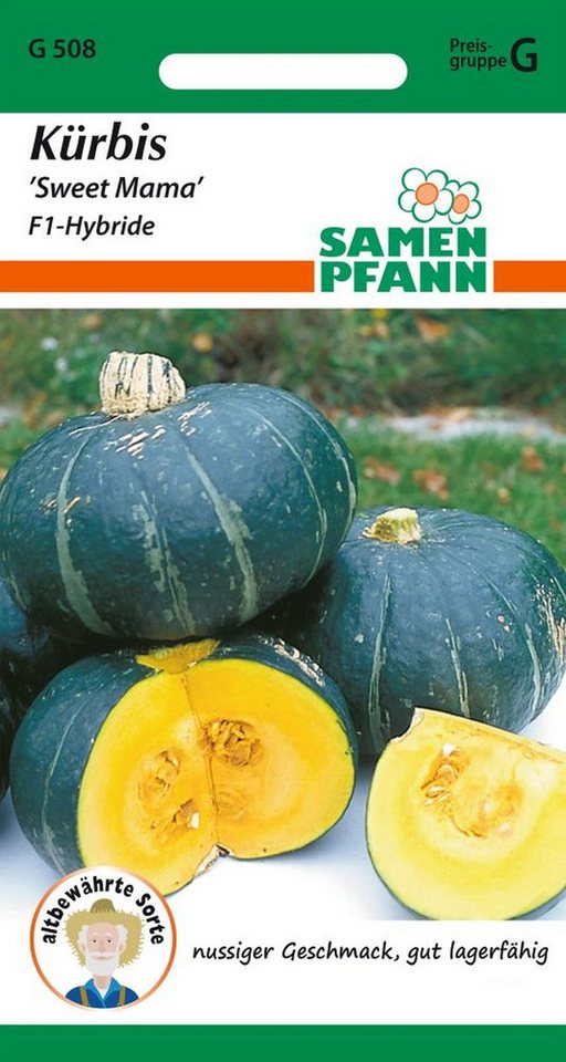 SAMEN PFANN Gemüsesamen Kürbis, Sweet Mama - Kürbis-Samen Saatgut Samen, Cucurbita maxima, var. Sweet Mama F1