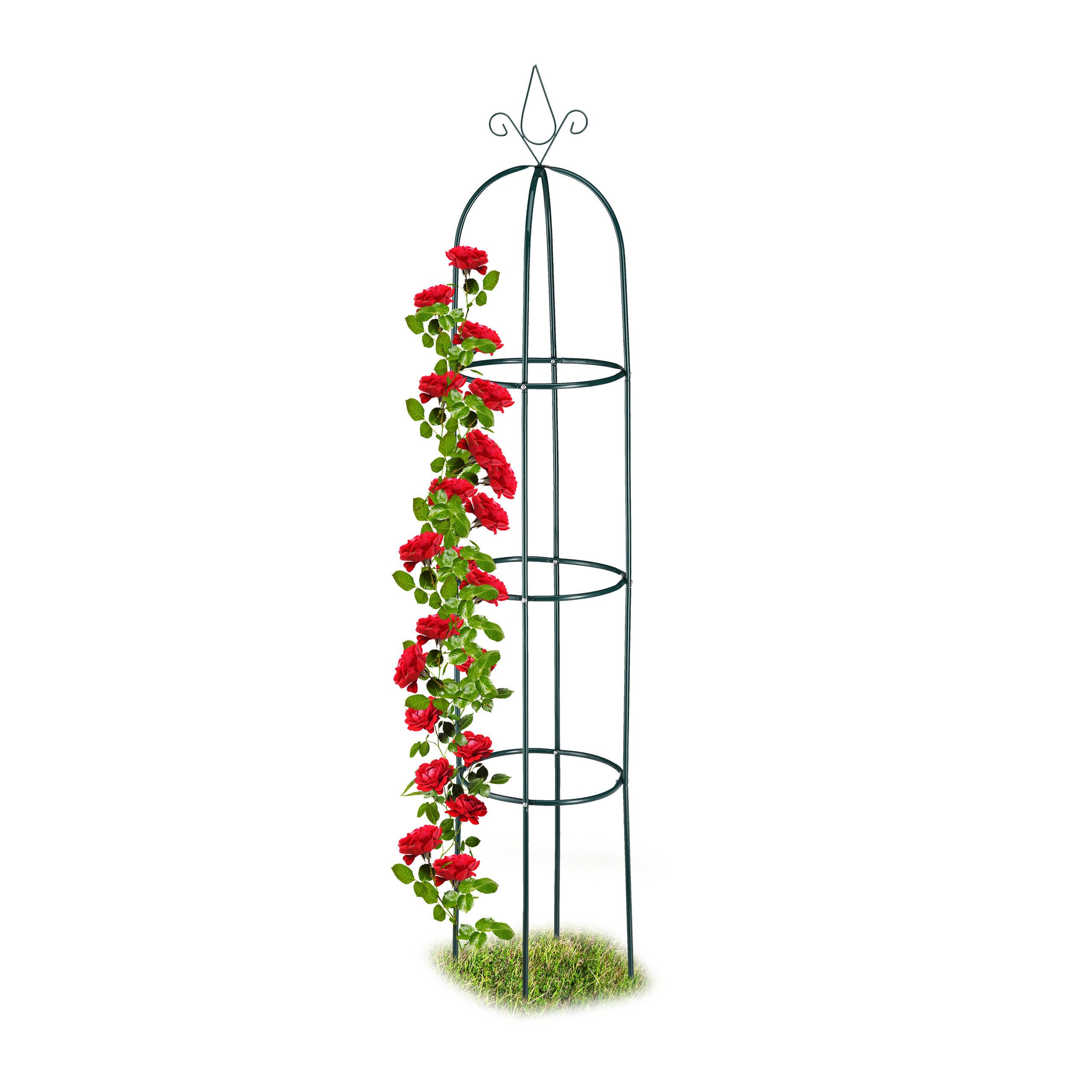 Rankhilfe Obelisk hoch