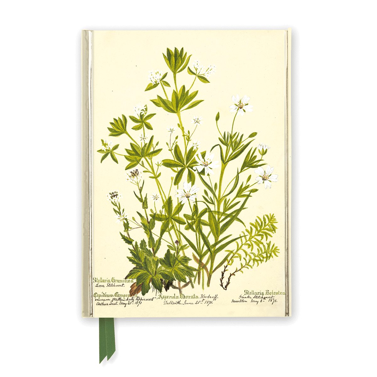 Notizbuch Rbge - Charlotte Cowan Pearson - Stellaria Nemorum Notebook (Flame