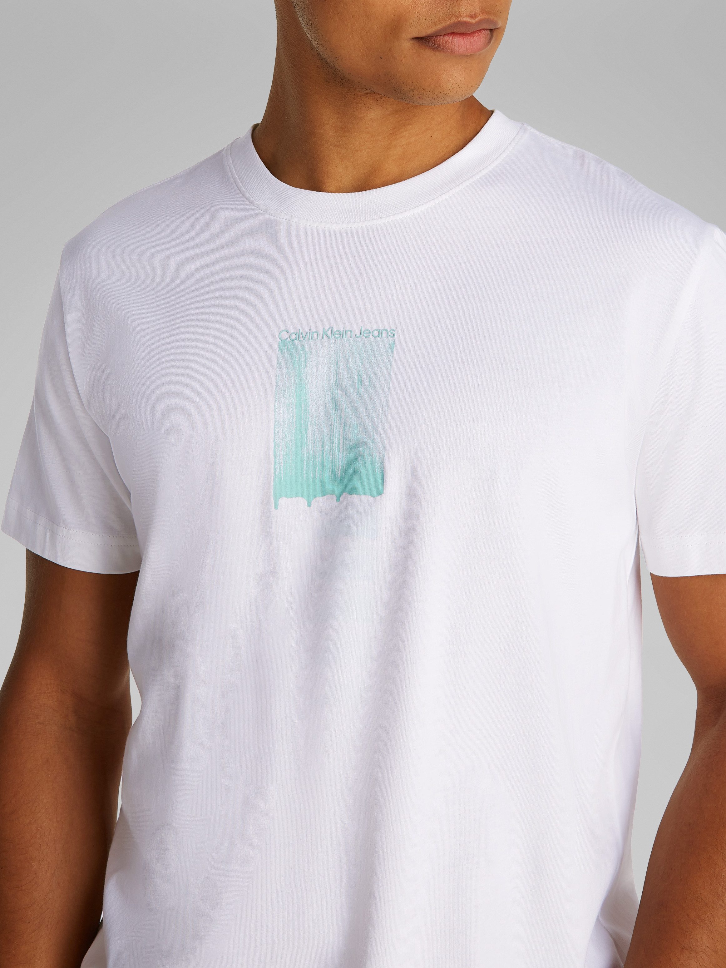 Calvin Klein Jeans T-Shirt BRUSH STROKE günstig online kaufen