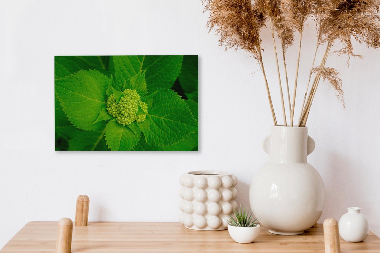 Hortensienpflanze, Wanddeko, St), der Leinwandbilder, cm Leinwandbild Foto 30x20 OneMillionCanvasses® Aufhängefertig, (1 botanischen Wandbild
