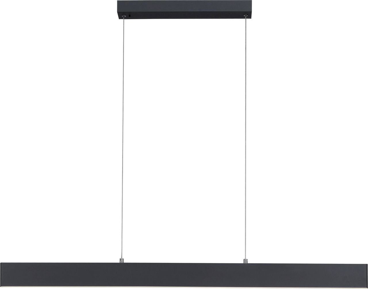LeuchtenDirekt LED Pendelleuchte Leuchten Direkt LED Pendelleuchte Nila anthrazit, LED, Dimmbar nicht Smart Home-fähig ohne Bewegungsmelder