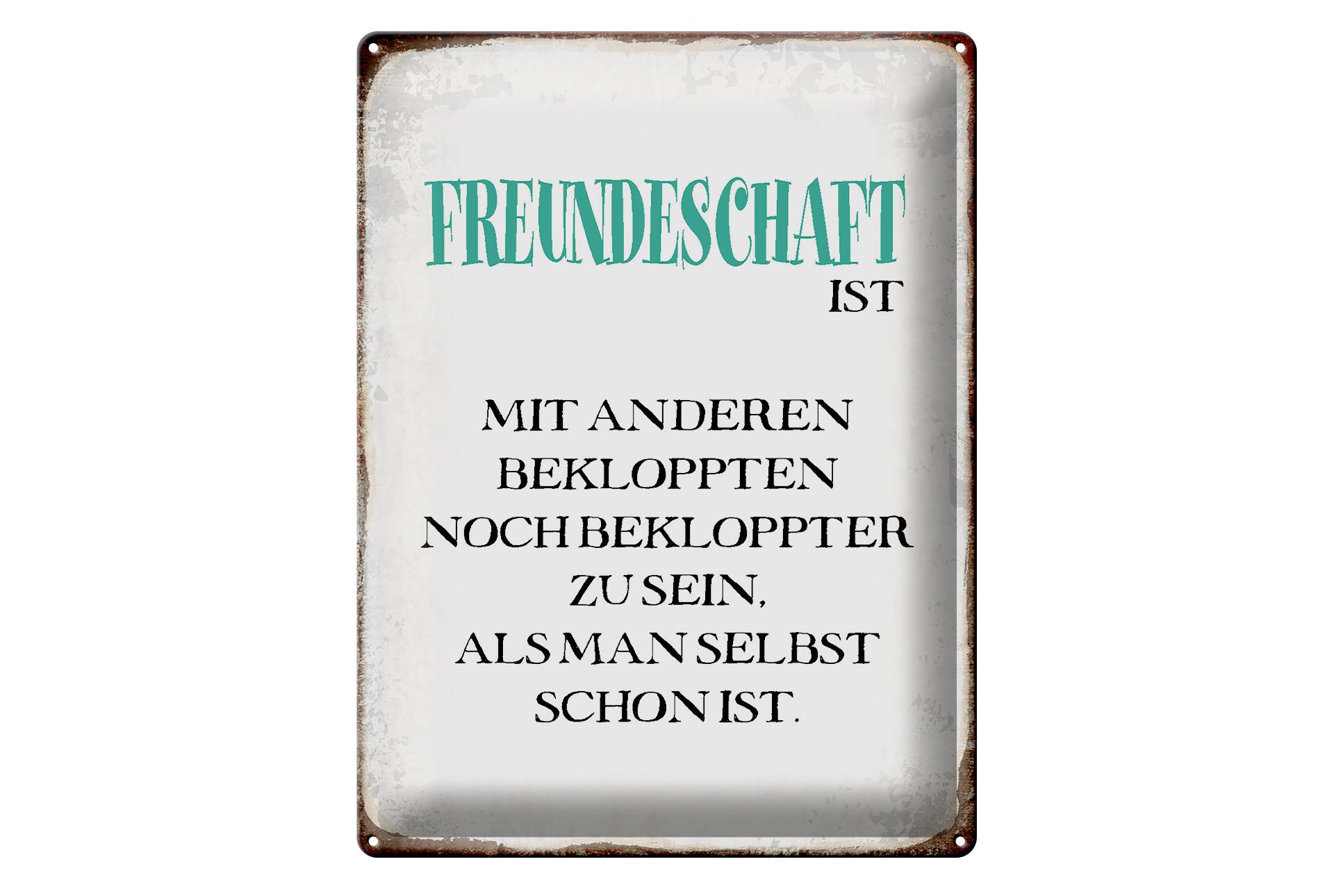 Femer GmbH Metallschild Spruch 30x40cm Freundschaft ist mit anderen, (1