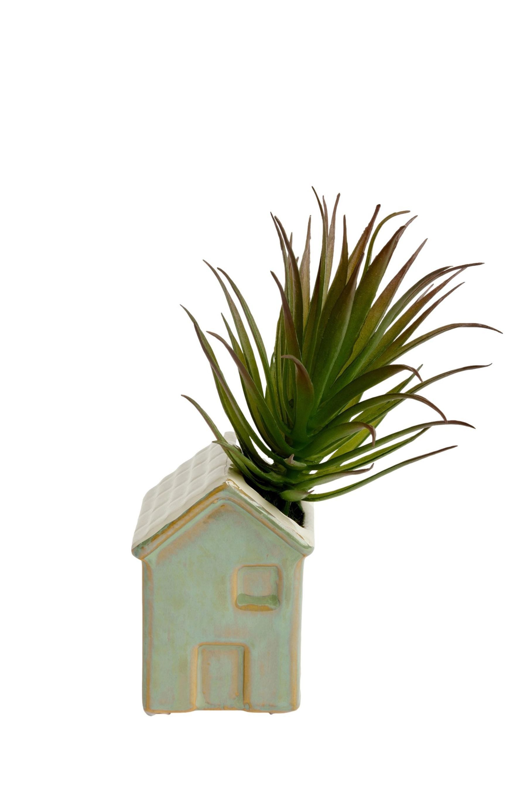 Kunstblume Mini-Keramikhaus mit künstlichen Sukkulenten, Next günstig online kaufen